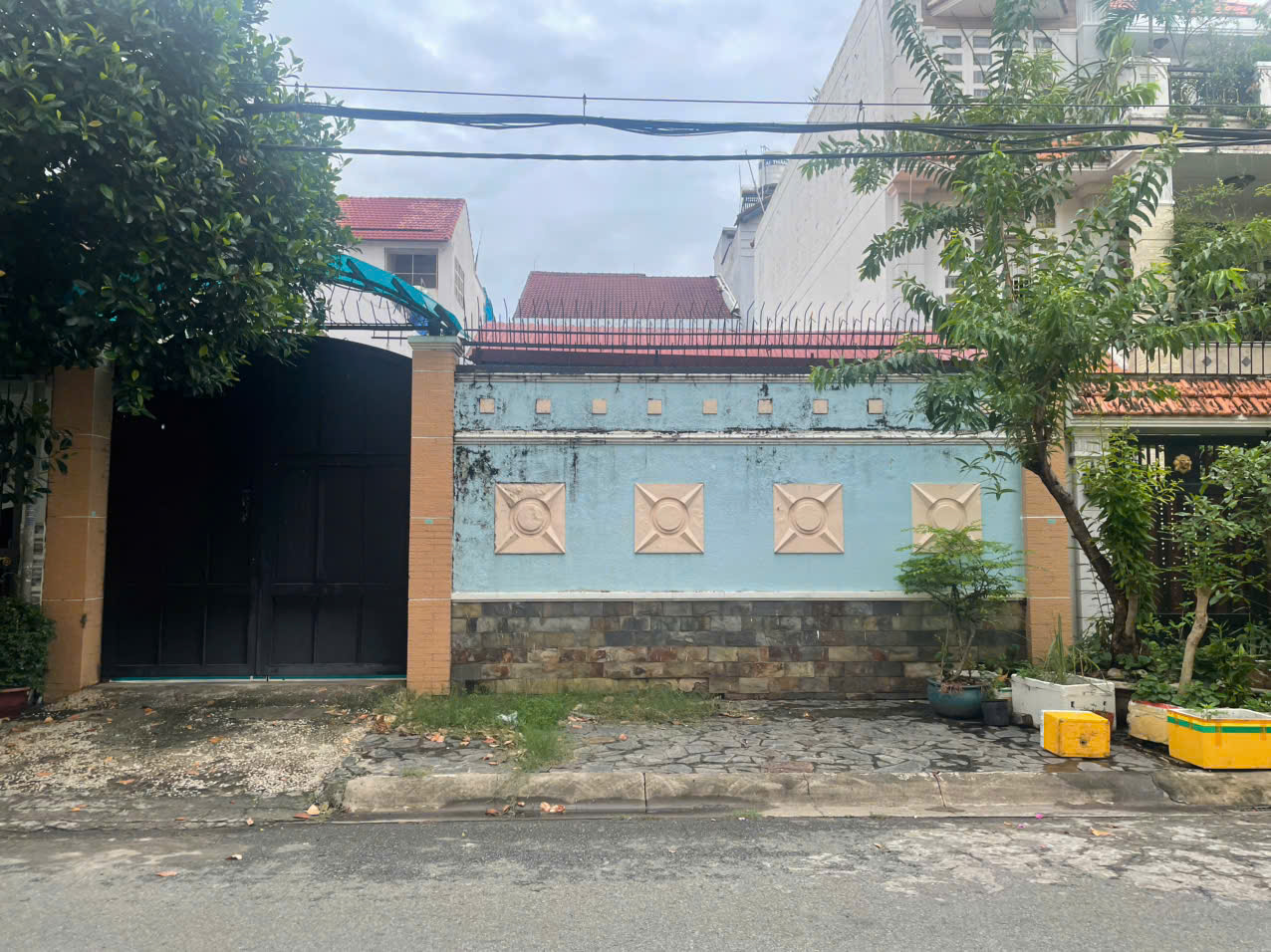 BÁN ĐẤT NỀN ĐẤT BIỆT THỰ PHƯỜNG BÌNH TRỊ ĐÔNG B, DT 220M2 SHR  25 TỶ. LH:0901181789 - Ảnh chính