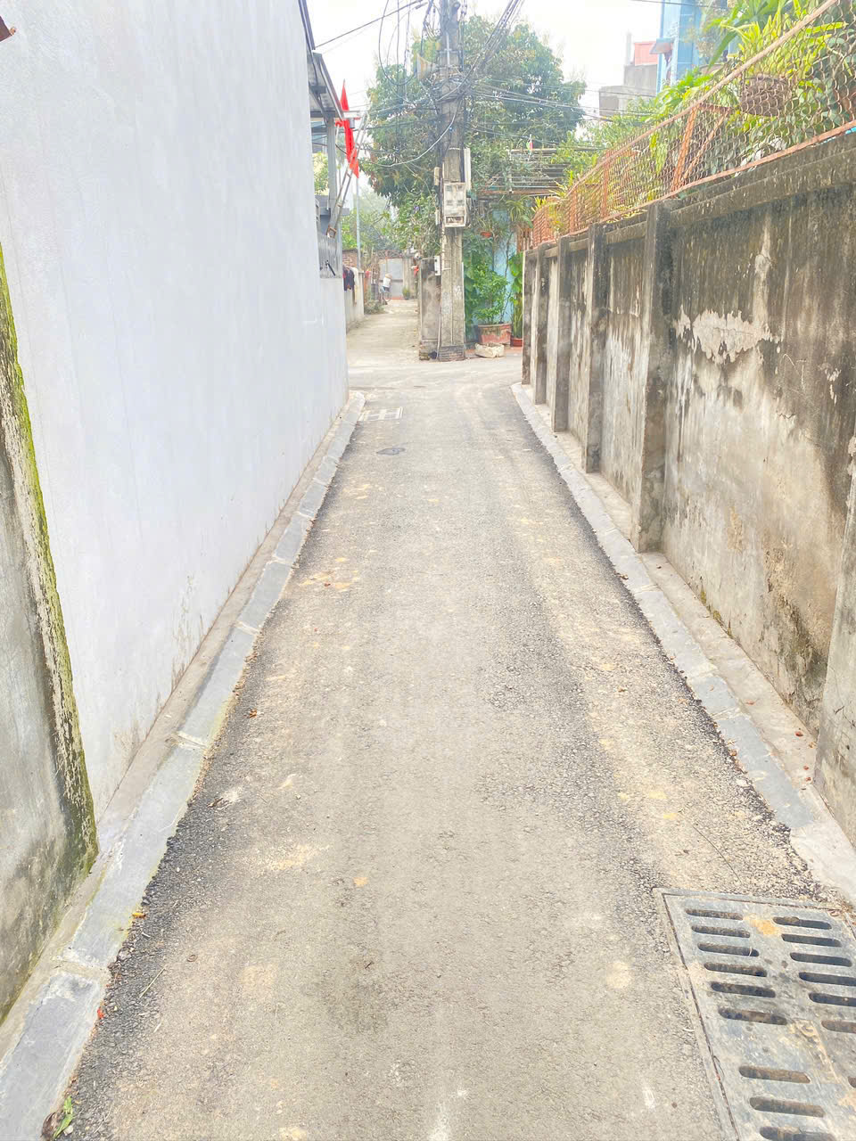 BÁN ĐẤT 80M2 XÓM NHỒI CỔ LOA ĐÔNG ANH - VỊ TRÍ ĐẮC ĐỊA FULL TIỆN ÍCH - Ảnh 4