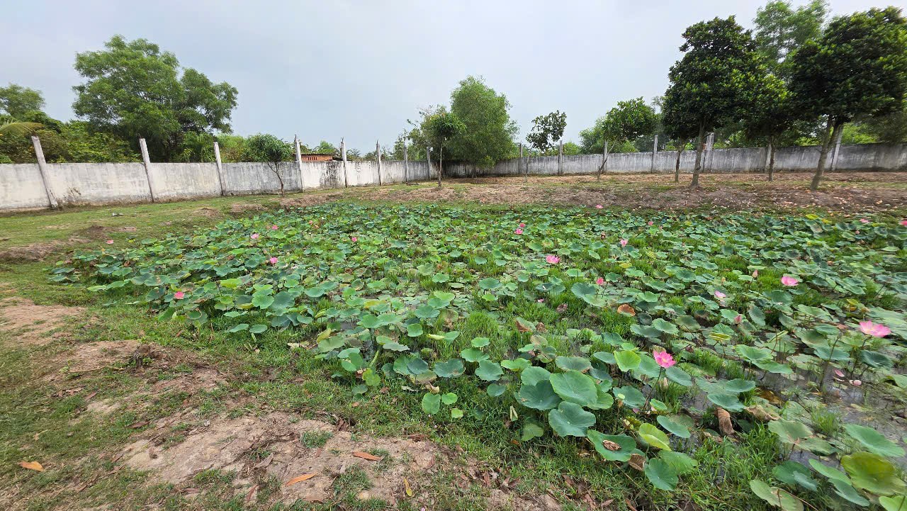 LÔ ĐẤT ĐẸP - ĐẦU TƯ LÀ SINH LỜI - Cần Bán Đất Tại Xã Đức Lập Hạ, Đức Hòa, Long An - Ảnh 1