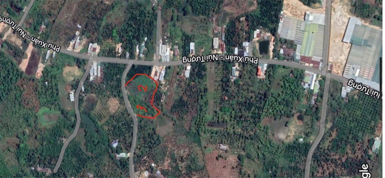 Bán 5.717m2 mặt tiền đường N1 gần KDL Nam Cát Tiên Xã Núi Tượng, Huyện Tân Phú, Đồng Nai - Ảnh 4