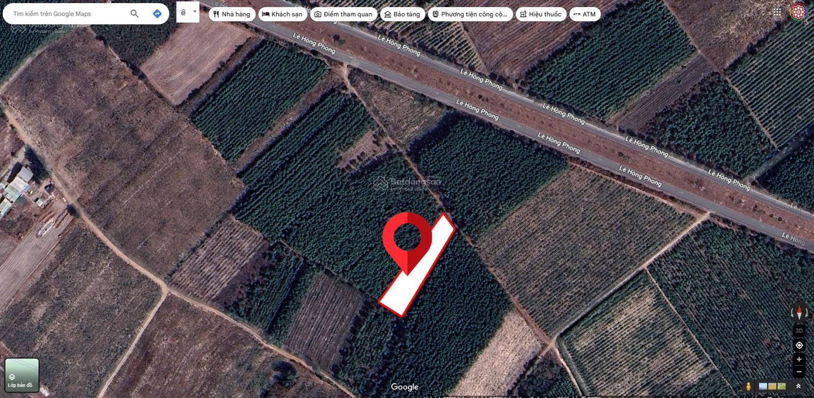 BÁN 2007M2 ĐẤT SẴN SỔ GIÁ RẺ NHẤT KHU VỰC LÊ HỒNG PHONG-NHƠN TRẠCH - Ảnh 2