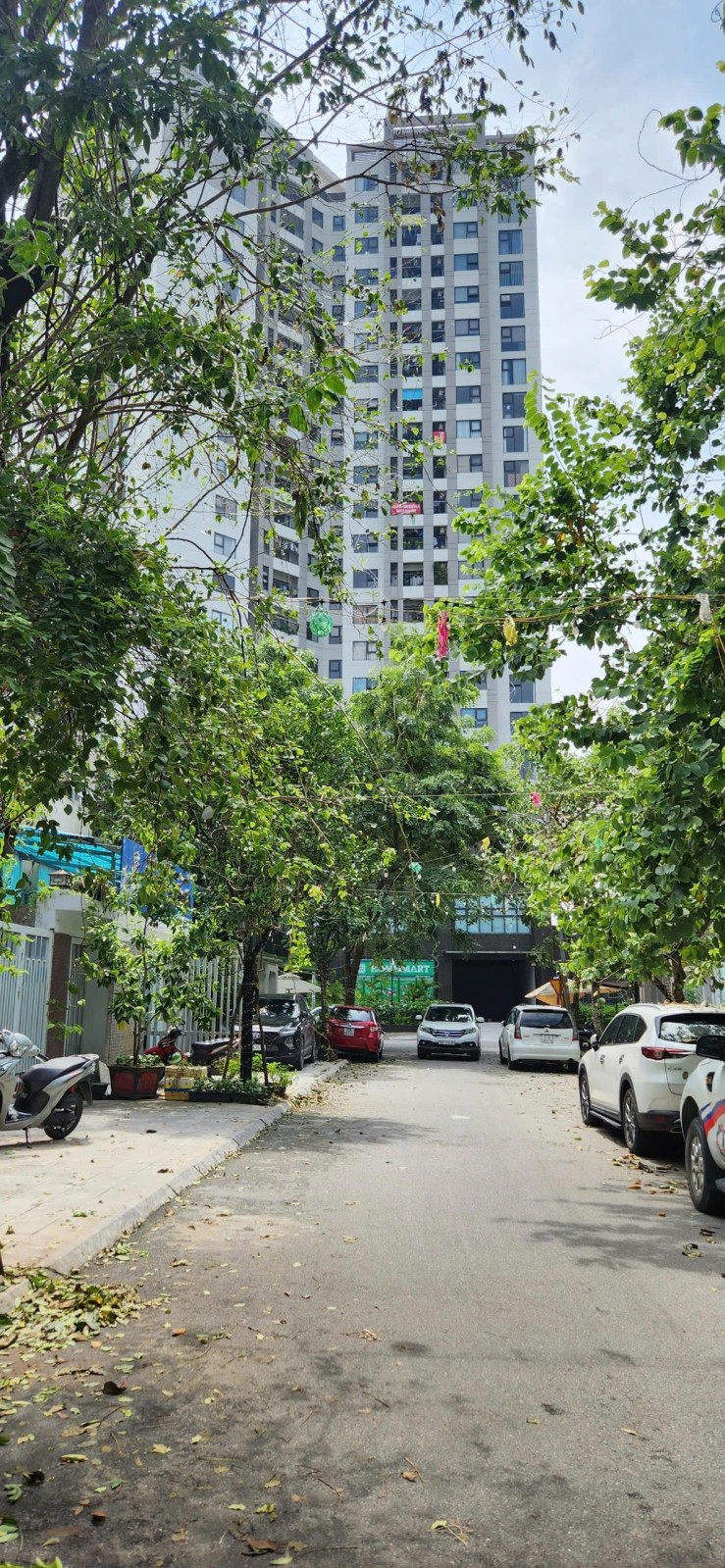 bán Biệt Thự KĐT Văn Phú, Hà Đông, 240m2 x mặt tiền 12m, giá đầu tư chỉ 150tr/m2 - Ảnh 3