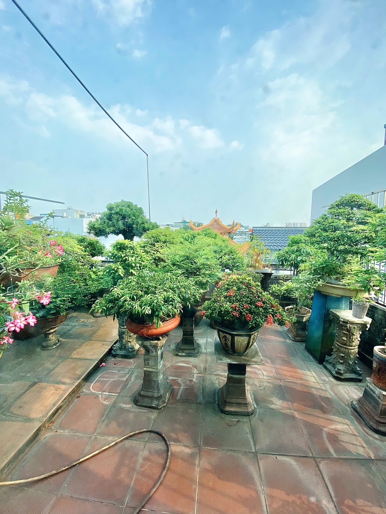 Chính chủ 1 đời - Trung tâm F10 Tân Bình - rộng 65m2 - ngang bề thế - 6.5m - 4 tầng đúc. - Ảnh 3