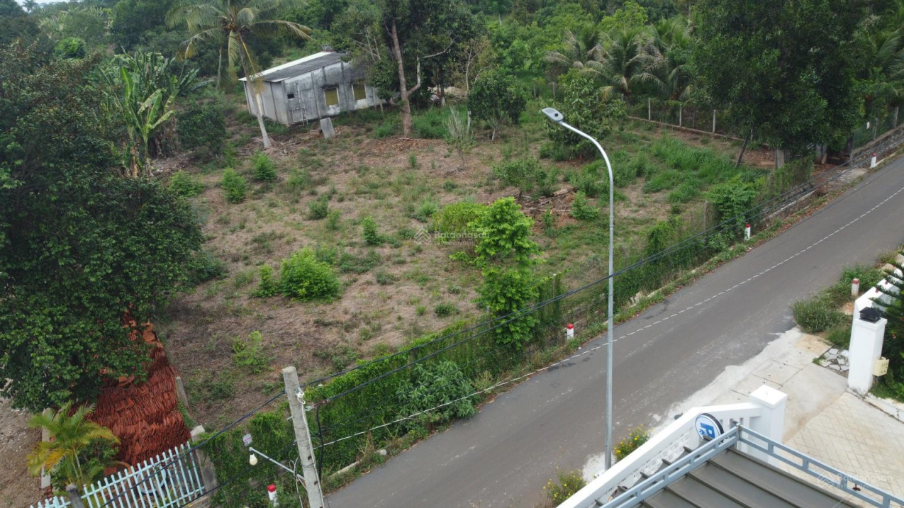 Bán lô đất lớn Suối Nghệ, 3059m² có thổ cư, cách KCN chỉ 2km, đầu tư sinh lời - Ảnh 2