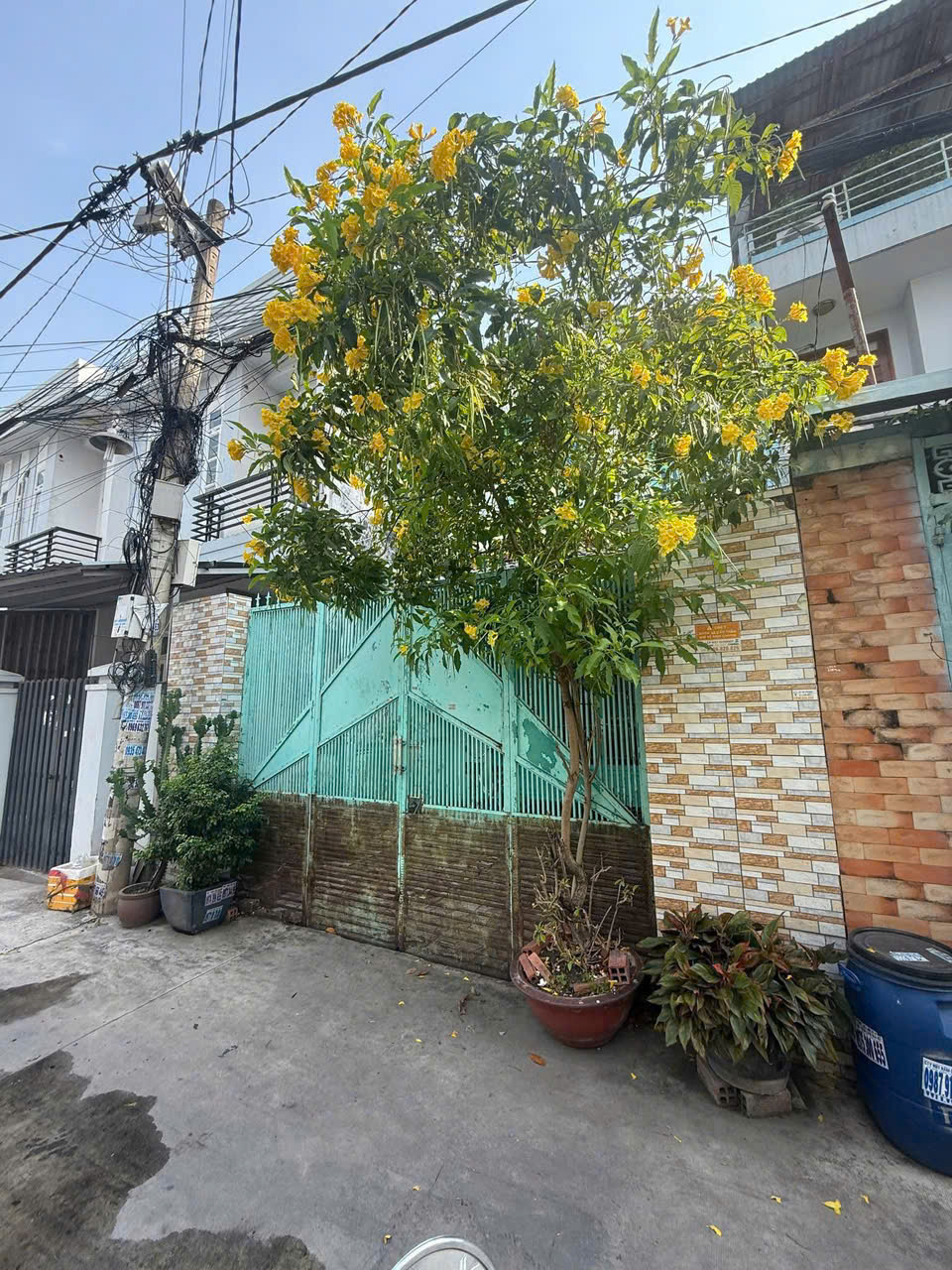 CHO THUÊ NHÀ 1 LẦU HXH THẠNH XUÂN 14- 3PH- DT 100m2 (5x20) giá 8tr<br><br>✅ 1 trệt + 1 lầu, 3 phòng ngủ, - Ảnh 1