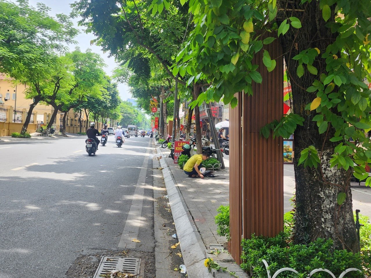 Bán nhà Nguyễn Thái Học, Ba Đình, 31m2, 4 tầng, Mt 5.1m, chỉ 11 tỷ - Ảnh chính