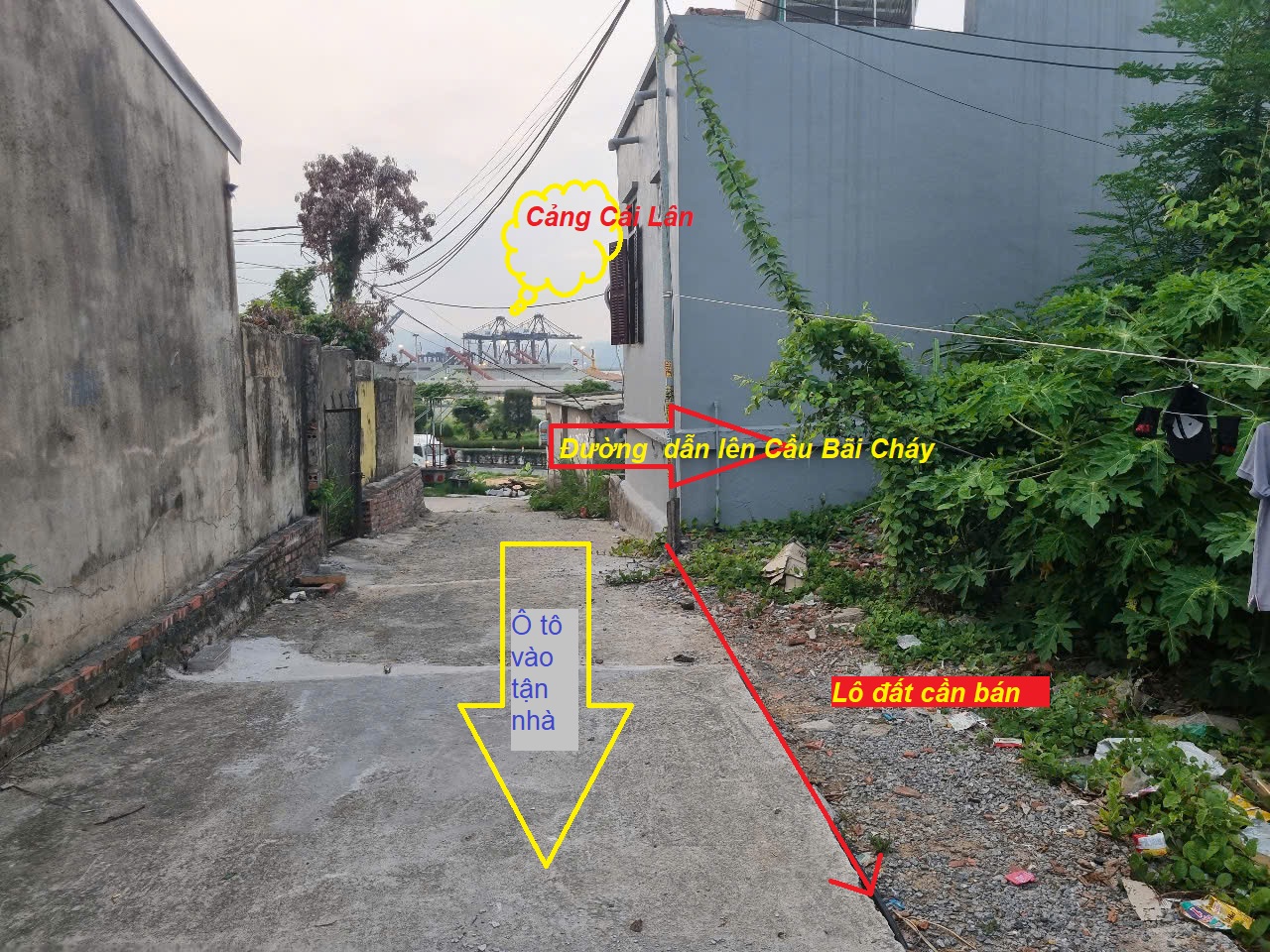 Chính chủ cần bán Nhanh Lô Đất Tại Tổ 1 – Khu 4 – Phường Bãi cháy – TP Hạ Long.( ĐẤT TRUNG TÂM BÃI - Ảnh chính