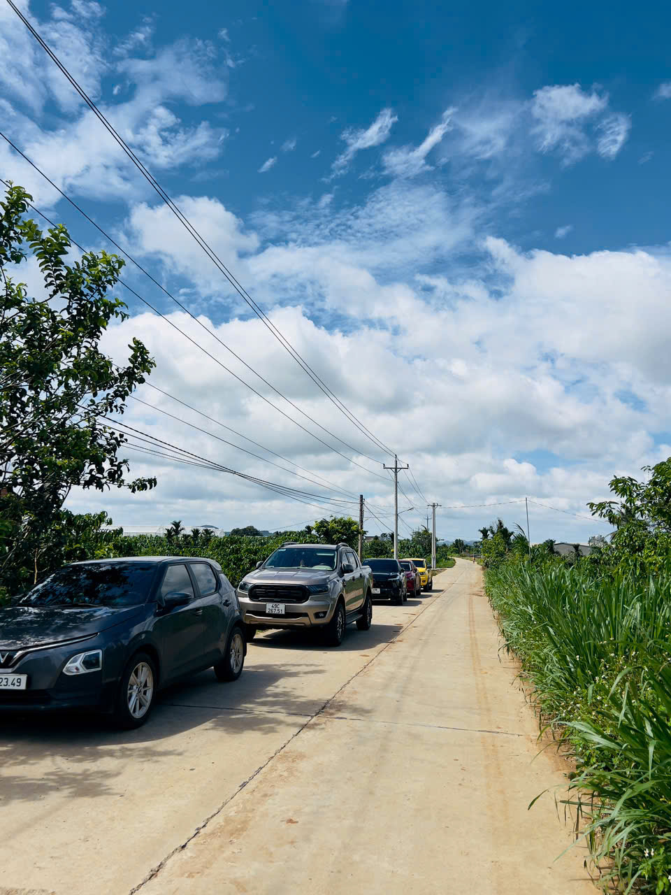 SỞ HỮU NGAY LÔ ĐẤT ĐẸP - GIÁ TỐT - Vị Trí Đắc Địa Tại Tân Văn, Lâm Hà, Lâm Đồng - Ảnh chính