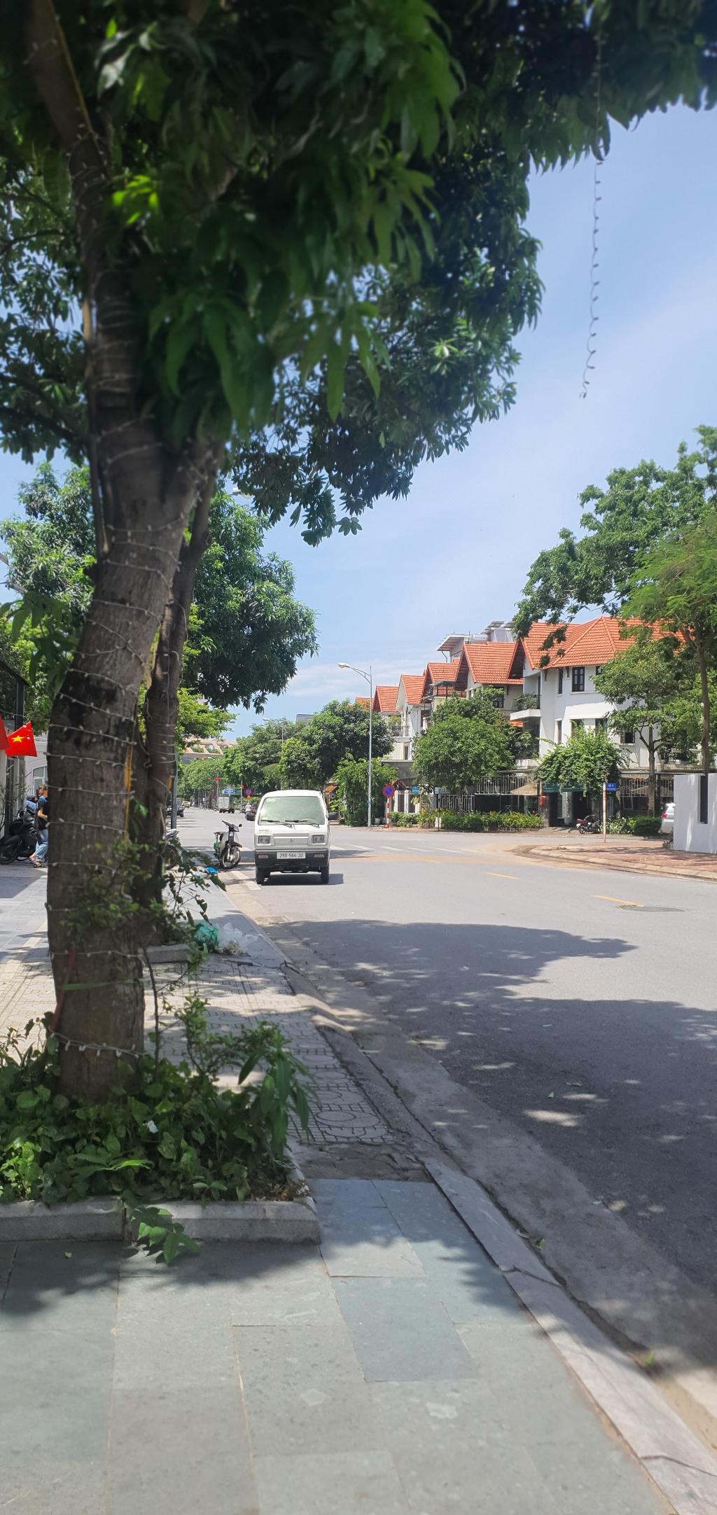 NHÀ VƯỜN 38 tỷ 120m MẶT PHỐ BÙI THIỆN NGỘ,KINH DOANH ĐỈNH,LONG BIÊN HÀ NỘI - Ảnh 4