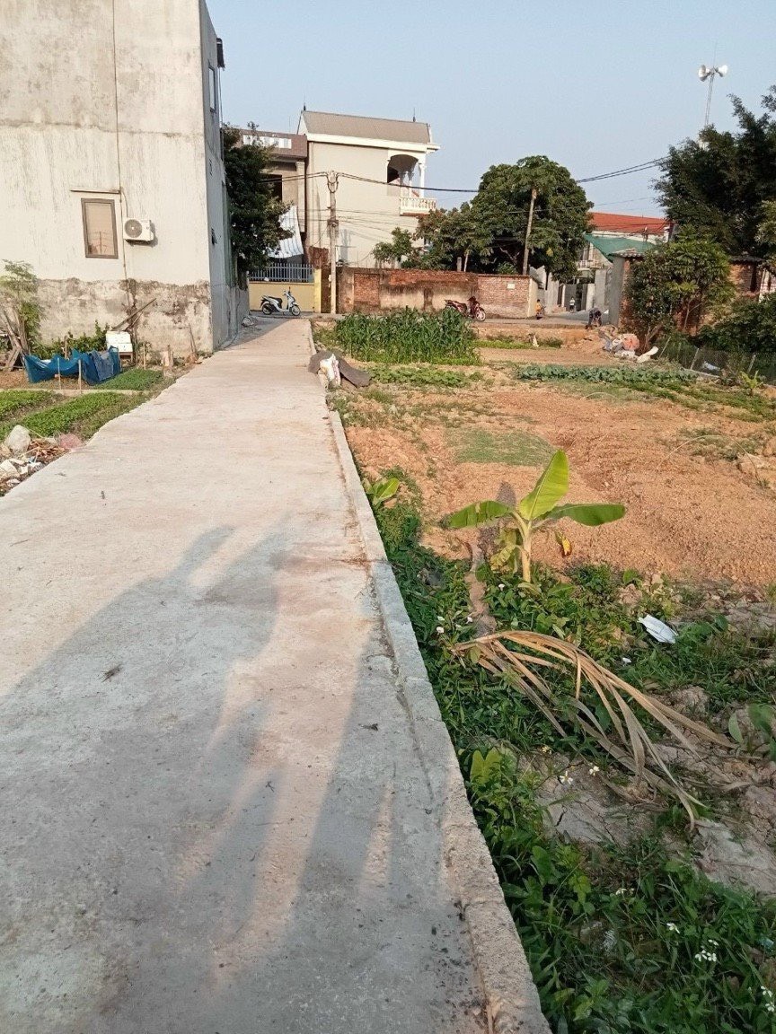 cc cần bán 70m tốt động đường ô tô giá hơn tỷ - Ảnh 2