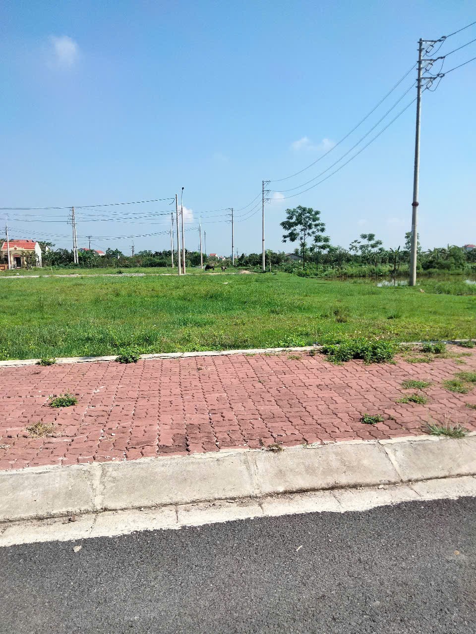ĐẤT ĐẸP – GIÁ TỐT  - Chính Chủ Bán Nhanh Lô Đất Xã Đức Thắng, Huyện Tiên Lữ, Hưng Yên - Ảnh 2