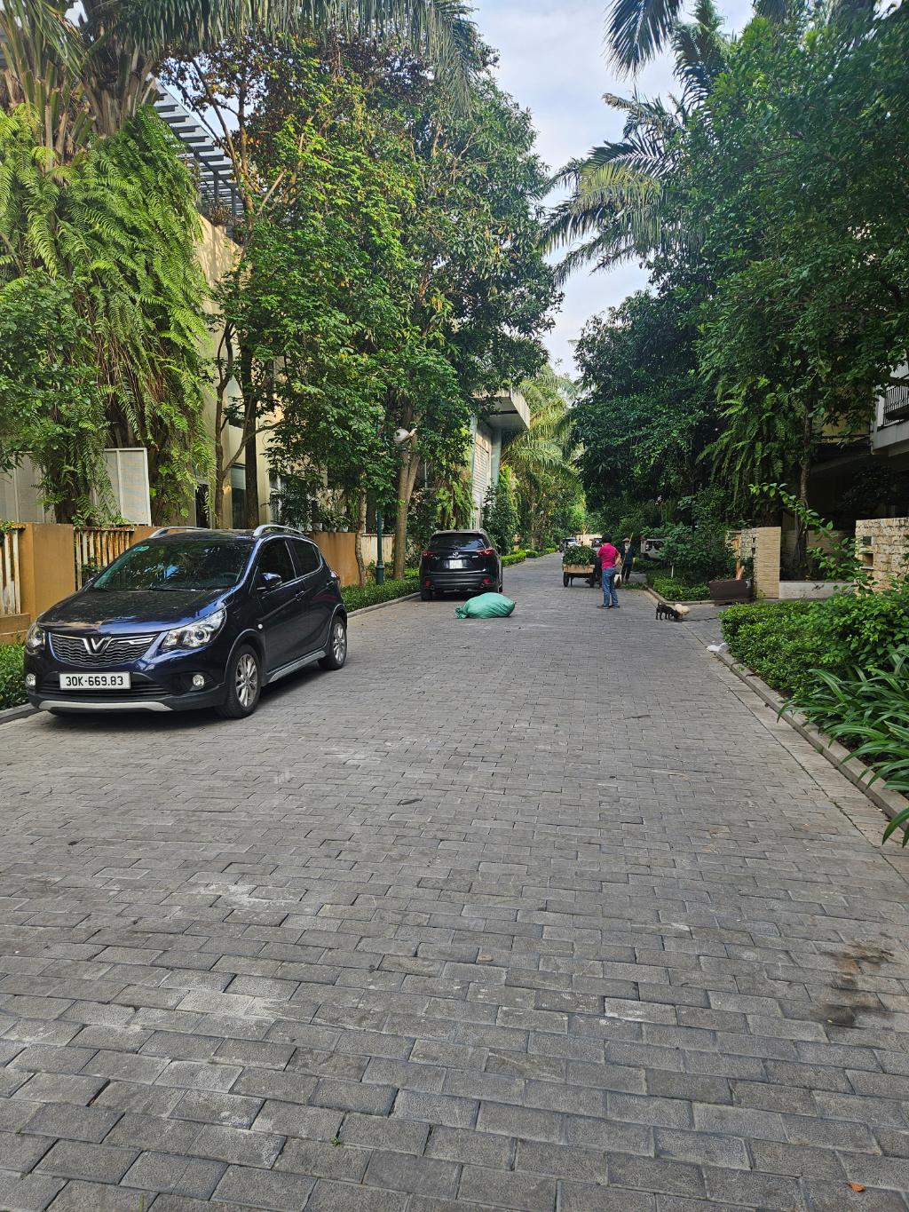 BIỆT THỰ 39 tỷ 148m KDT VIỆT HƯNG,LONG BIÊN HÀ NỘI - Ảnh chính