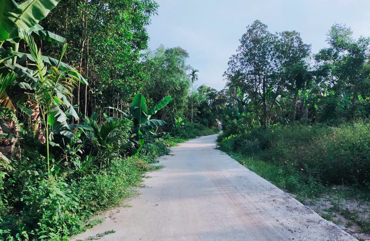 CHÍNH CHỦ Cần Bán Lô Đất Tại Thôn Hòa Thọ, Xã Hòa Phú, Hòa Vang, TP Đà nẵng. - Ảnh 3