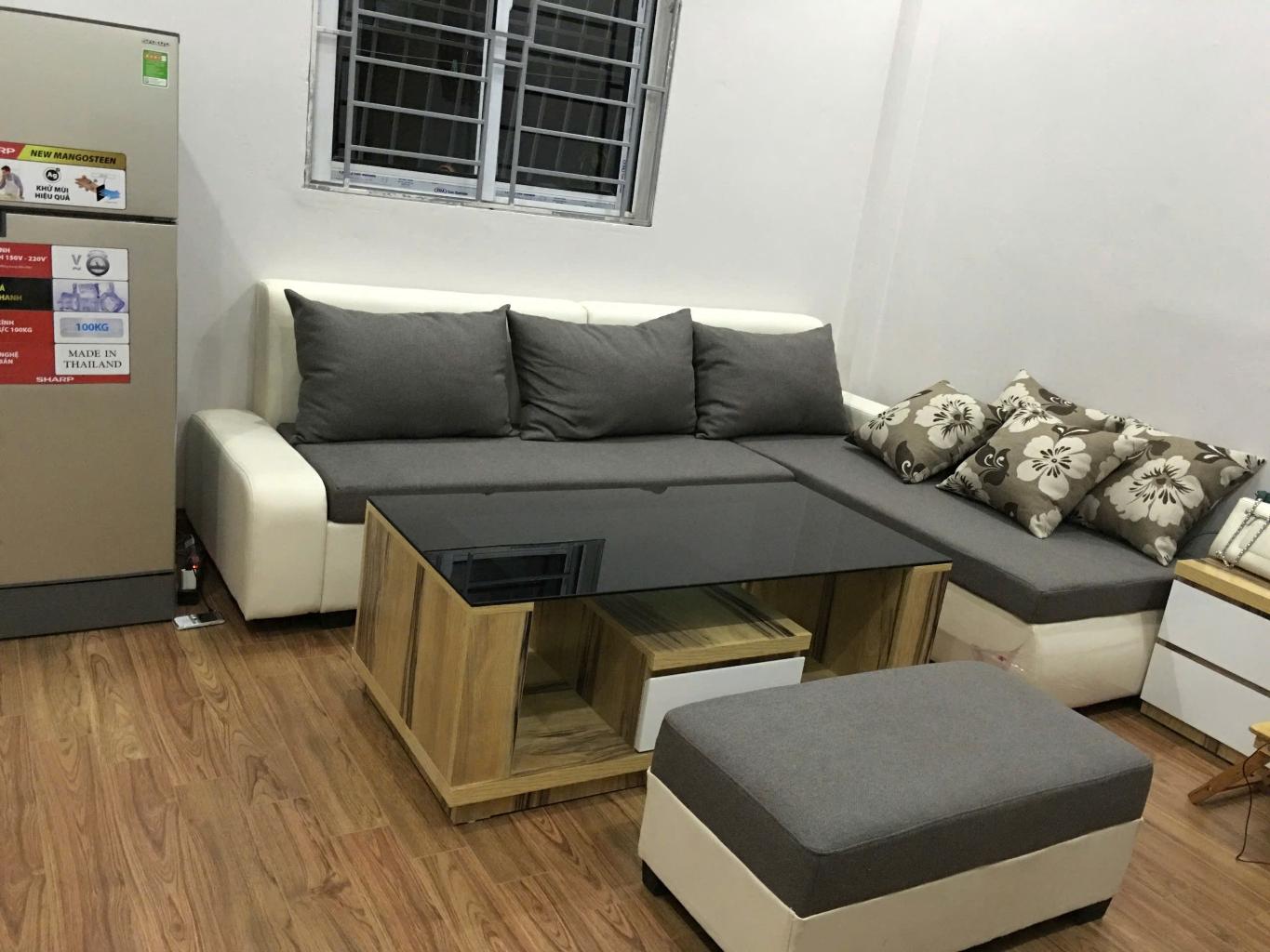 Lê Trọng Tấn 60m chỉ 16 tỷ hàng hiếm có 1 không 2 - Ảnh 1
