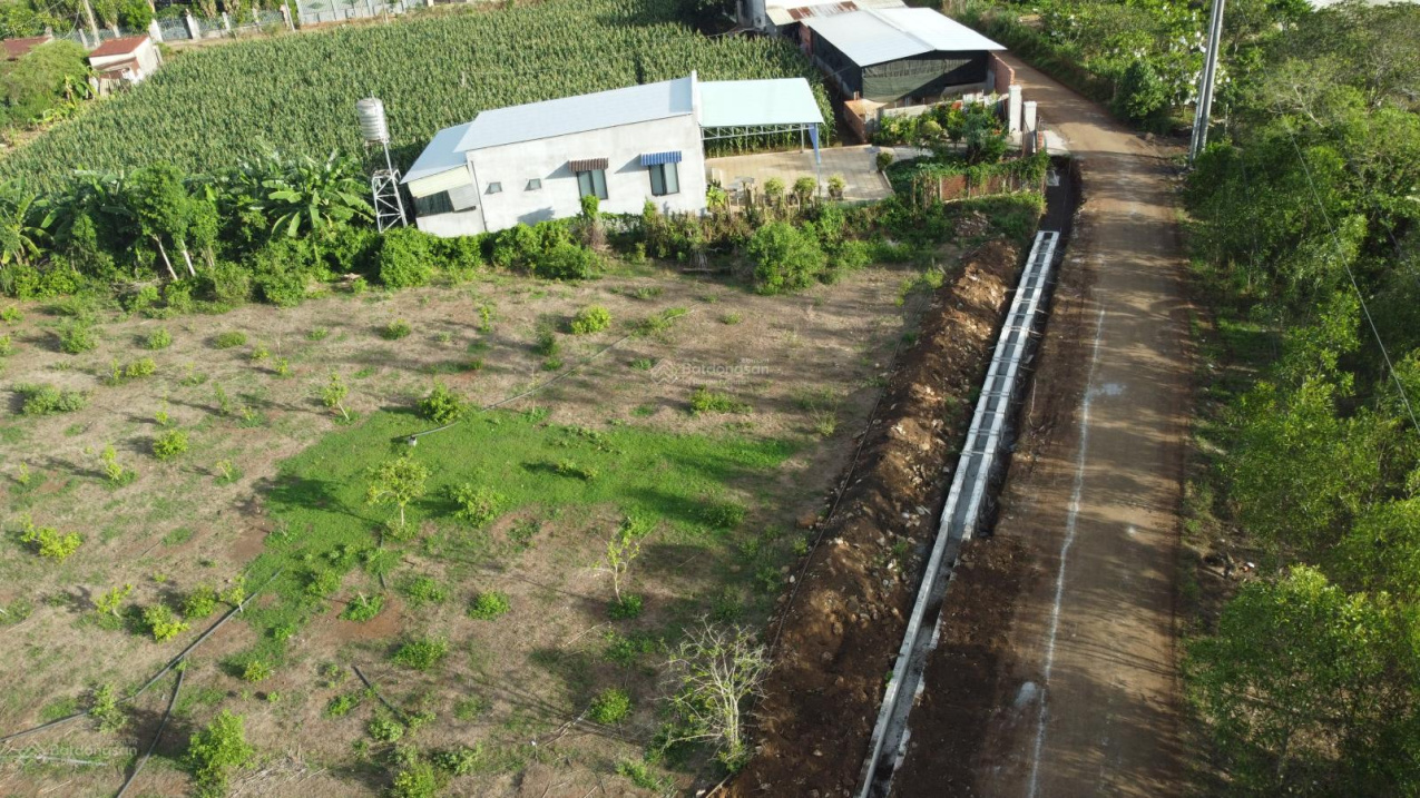 Đất đẹp xã Bình Ba, huyện Châu Đức, BRVT gần sân golf & KCN, có thổ cư, đầu tư tốt - Ảnh 4