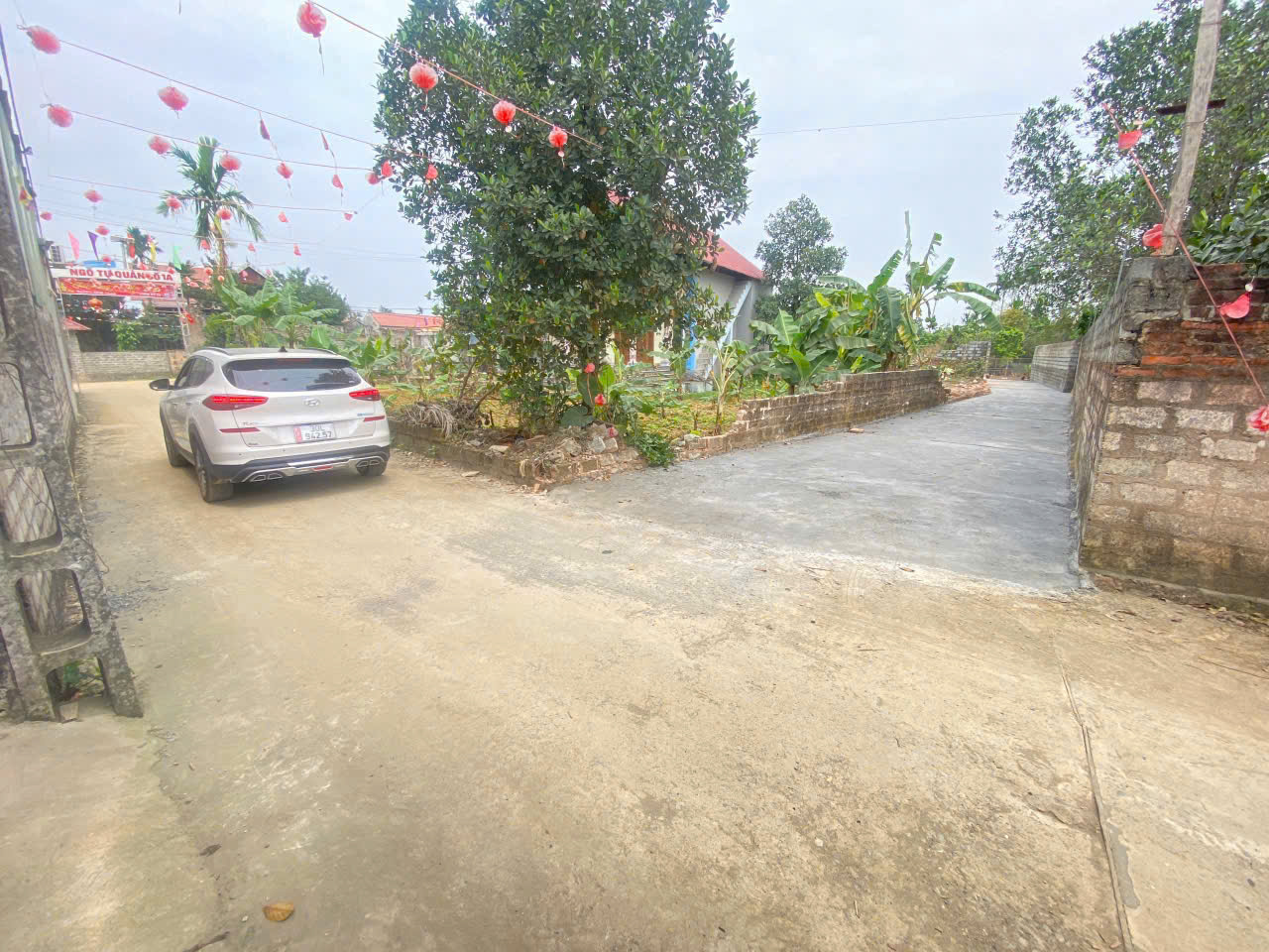 bán đất chinh chủ gửi DT ;100m full thổ cư giá nhỉnh tỷ xíu thôi ạ ô tô vào tận đất - Ảnh 3