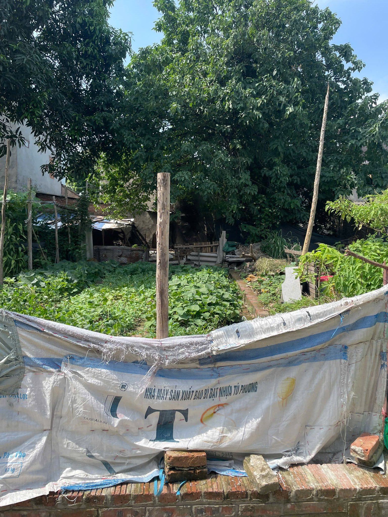 105,2m lương quy - Ảnh 1