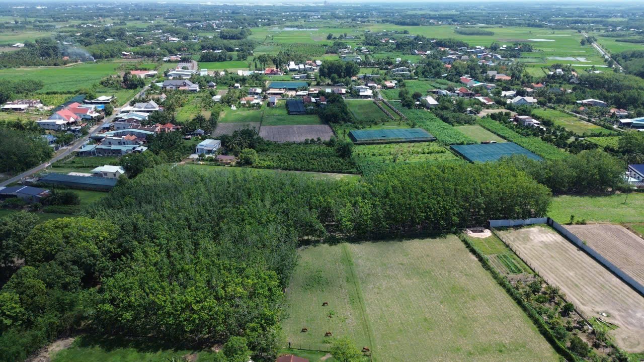 ĐẤT ĐẸP - ĐẦU TƯ SINH LỜI - Cần Bán Nhanh 13 Nền Đất Tại Gia Tân, Gia Lộc, Trảng Bàng, Tây Ninh - Ảnh 2