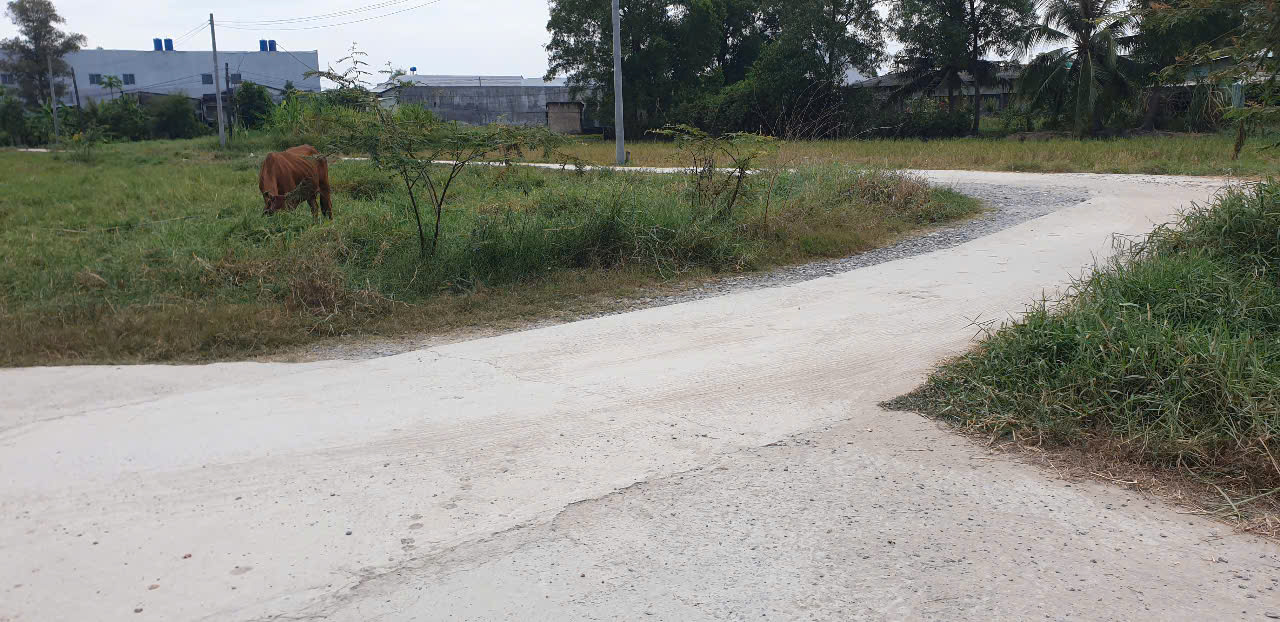 Chính chủ bán đất 100m2 giá 1, 7 tỷ, ĐT 833B, Long Cang, Cần Đước, Long An - Ảnh 4