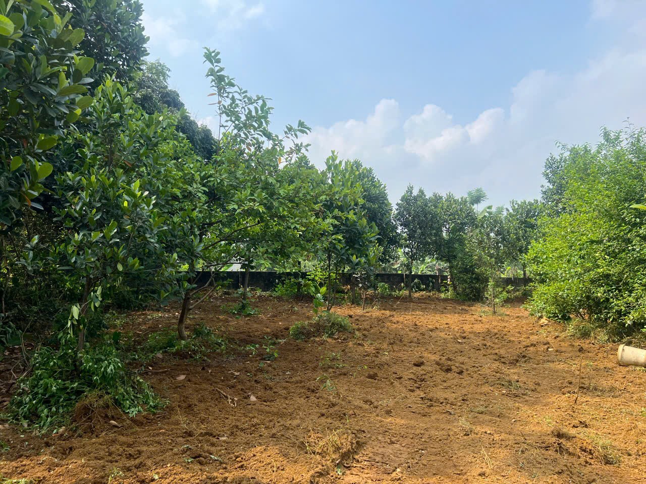 ĐẤT ĐẸP - GIÁ TỐT - Cần Bán Nhanh Lô Đất Vị Trí Đắc Địa Tại Thủy Xuân Tiên,huyện Chương Mỹ - Ảnh chính