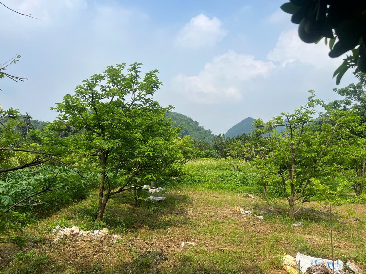 ĐẤT ĐẸP - GIÁ TỐT - Cần Bán Nhanh Lô Đất Vị Trí Đắc Địa Tại Thủy Xuân Tiên,huyện Chương Mỹ - Ảnh 2