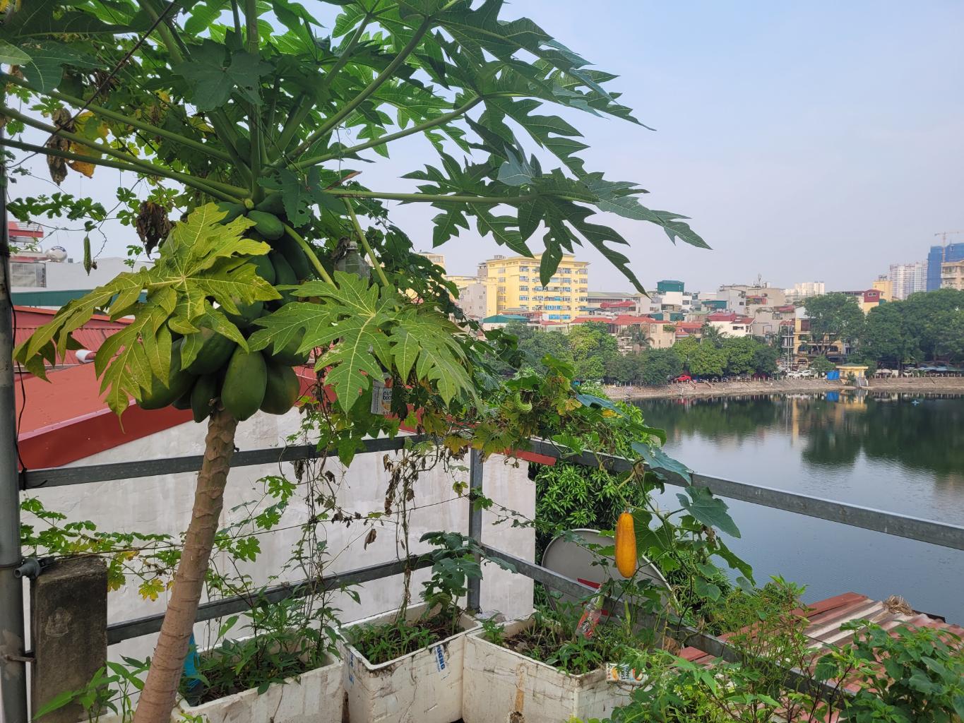 Lê Trọng Tấn , 1 mặt hồ, 1 mặt ngõ, giữa phố, giá trị cốt lõi cuộc sống - Ảnh chính