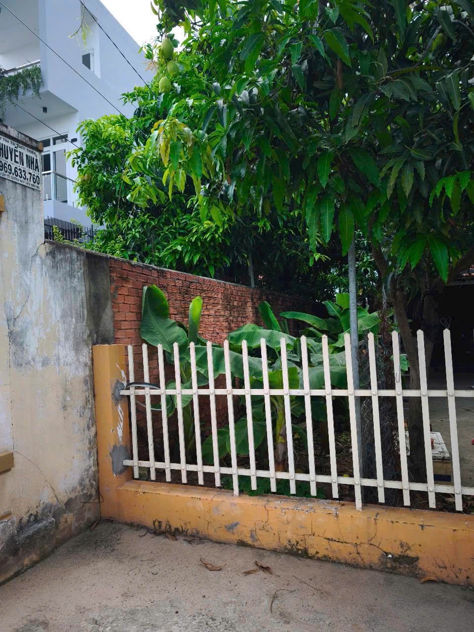 ĐẤT LỚN 1050m² THẠNH XUÂN 24, Q.12 – FULL THỔ, NỞ HẬU ĐẸP – CHỈ 32 TỶ! - Ảnh 2