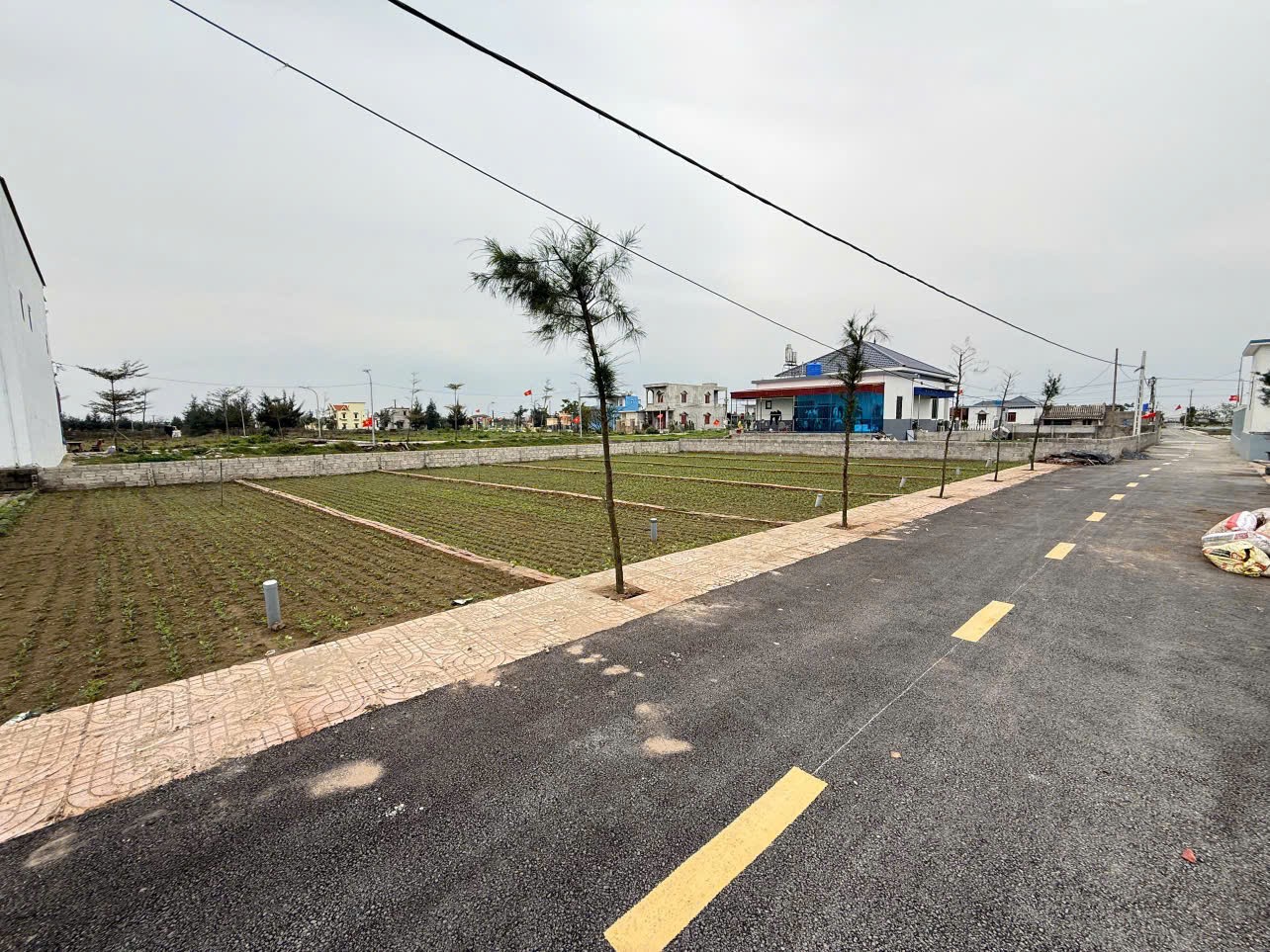 Bán gấp lô đất 83 m2 lấy tiền xây nhà - Ảnh 1