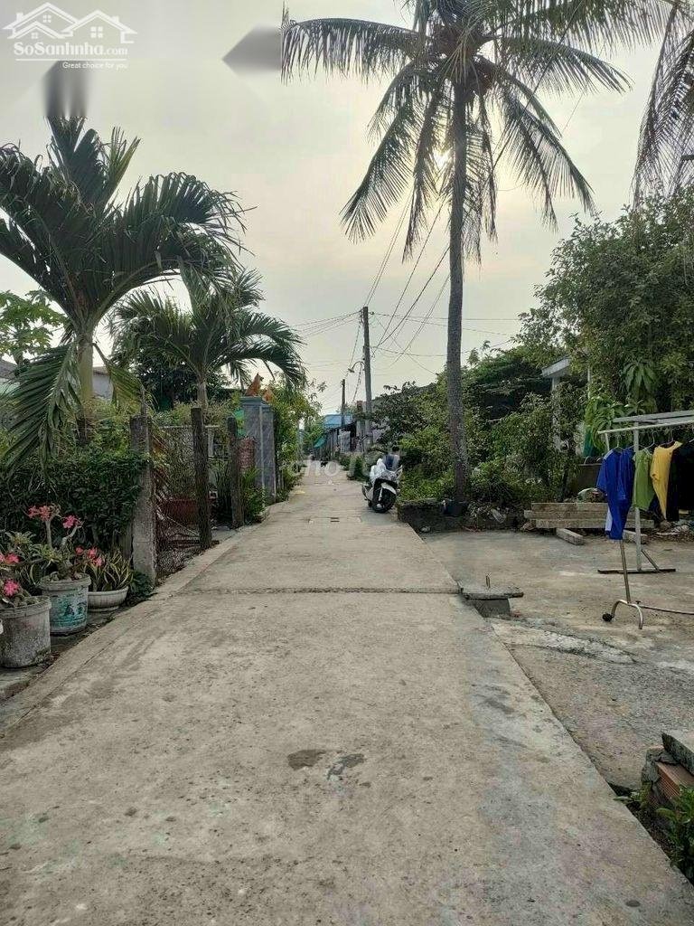 Chính chủ bán đất TÂN TRỤ, LONG AN - Ảnh chính