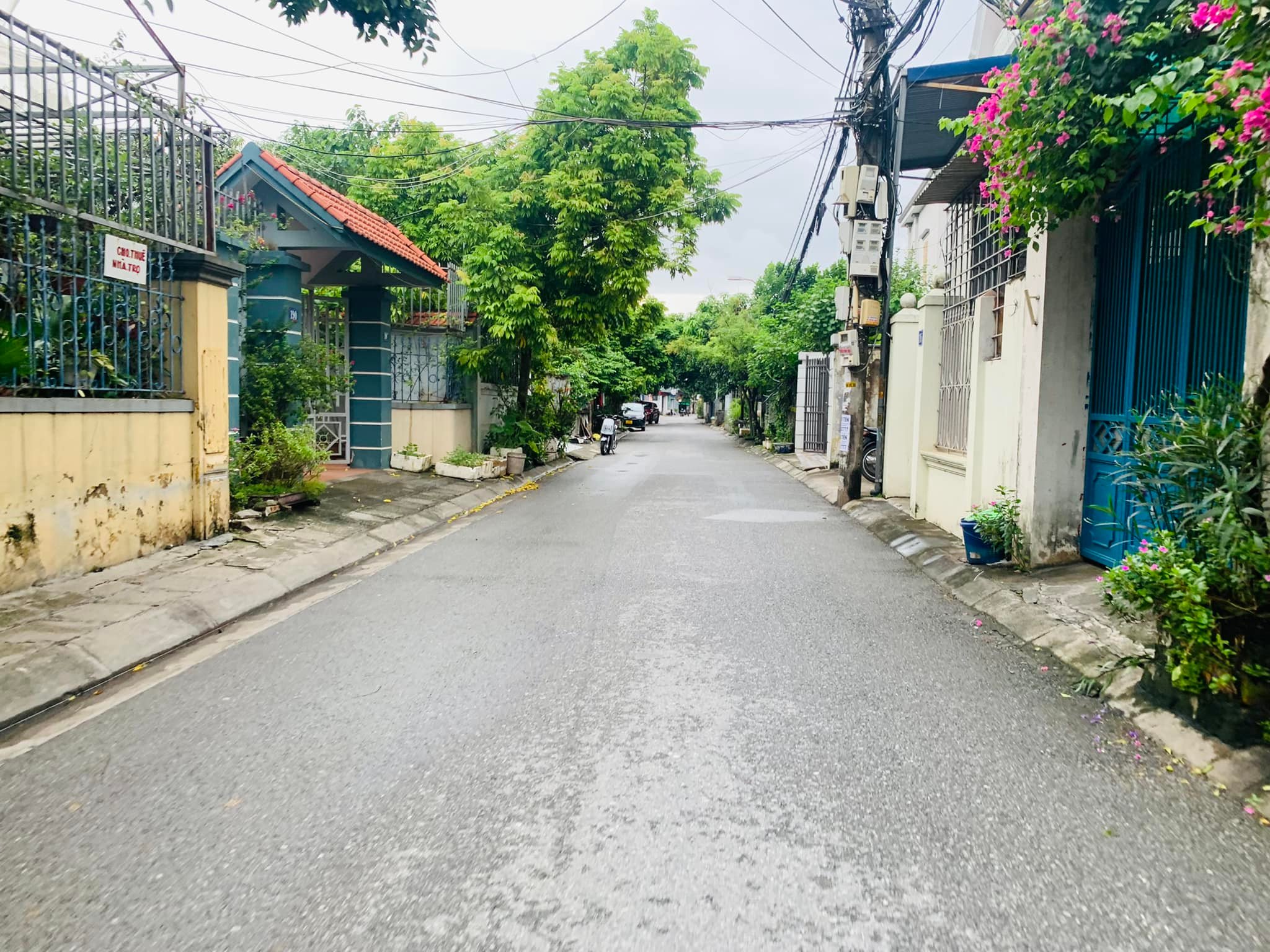 BÁN LÔ ĐẤT 100m2 MẶT ĐƯỜNG QUỲNH CƯ – HÙNG VƯƠNG – HỒNG BÀNG – HẢI PHÒNG - Ảnh 3