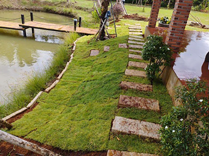 Cần bán lỗ khu vườn tuyệt đẹp ngay khu dân, có suối chảy bao quanh đất. - Ảnh chính