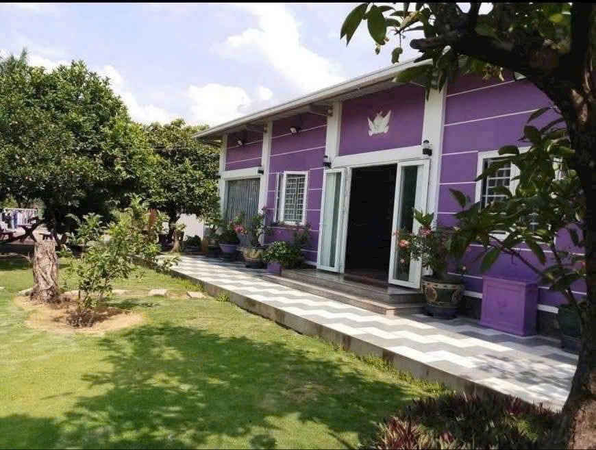 BÁN NHÀ VƯỜN 3000m² (4 SỔ) – BÌNH MỸ, CỦ CHI – GẦN CẦU RẠCH TRA - Ảnh chính