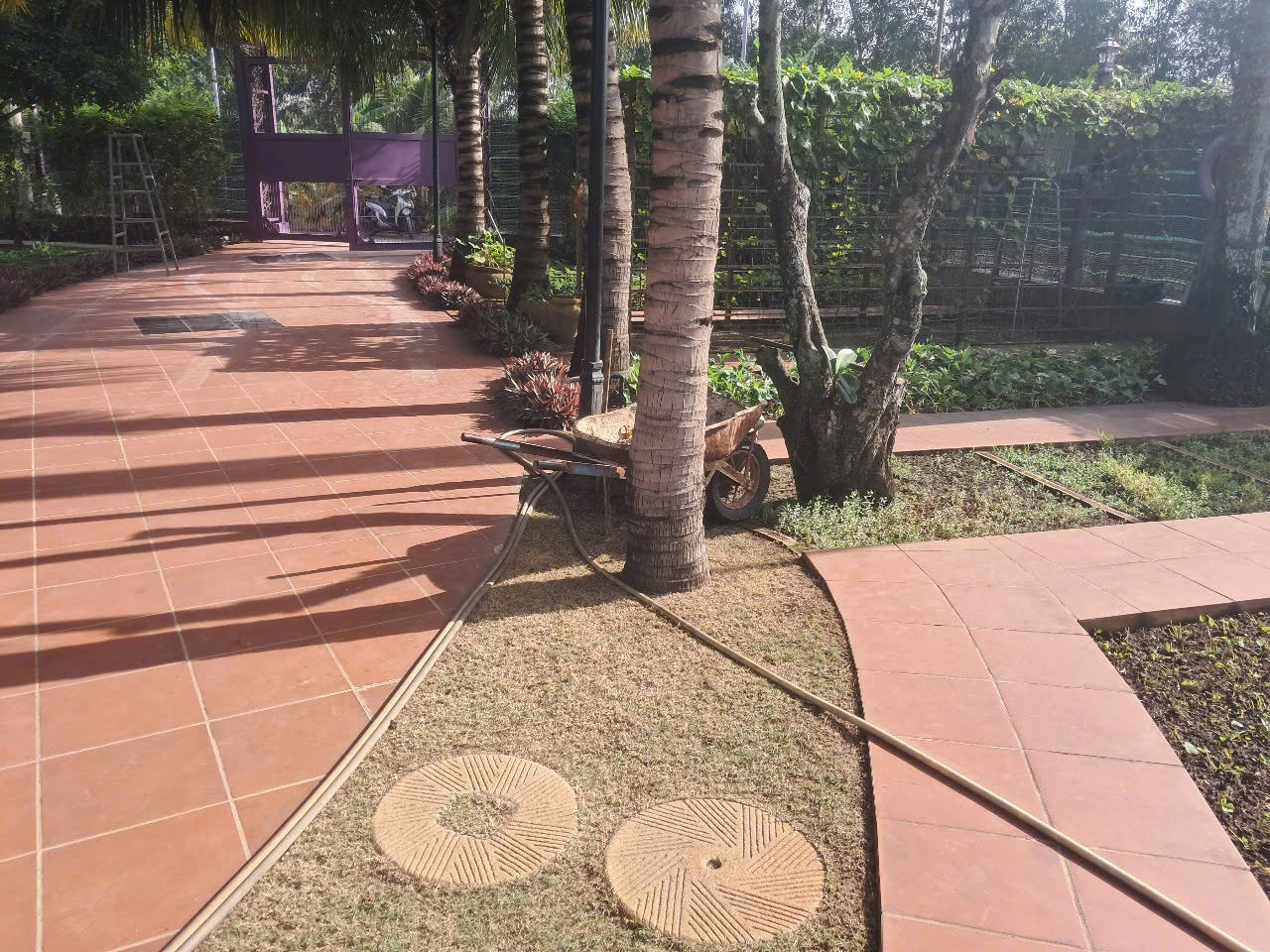 BÁN NHÀ VƯỜN 3000m² (4 SỔ) – BÌNH MỸ, CỦ CHI – GẦN CẦU RẠCH TRA - Ảnh 2