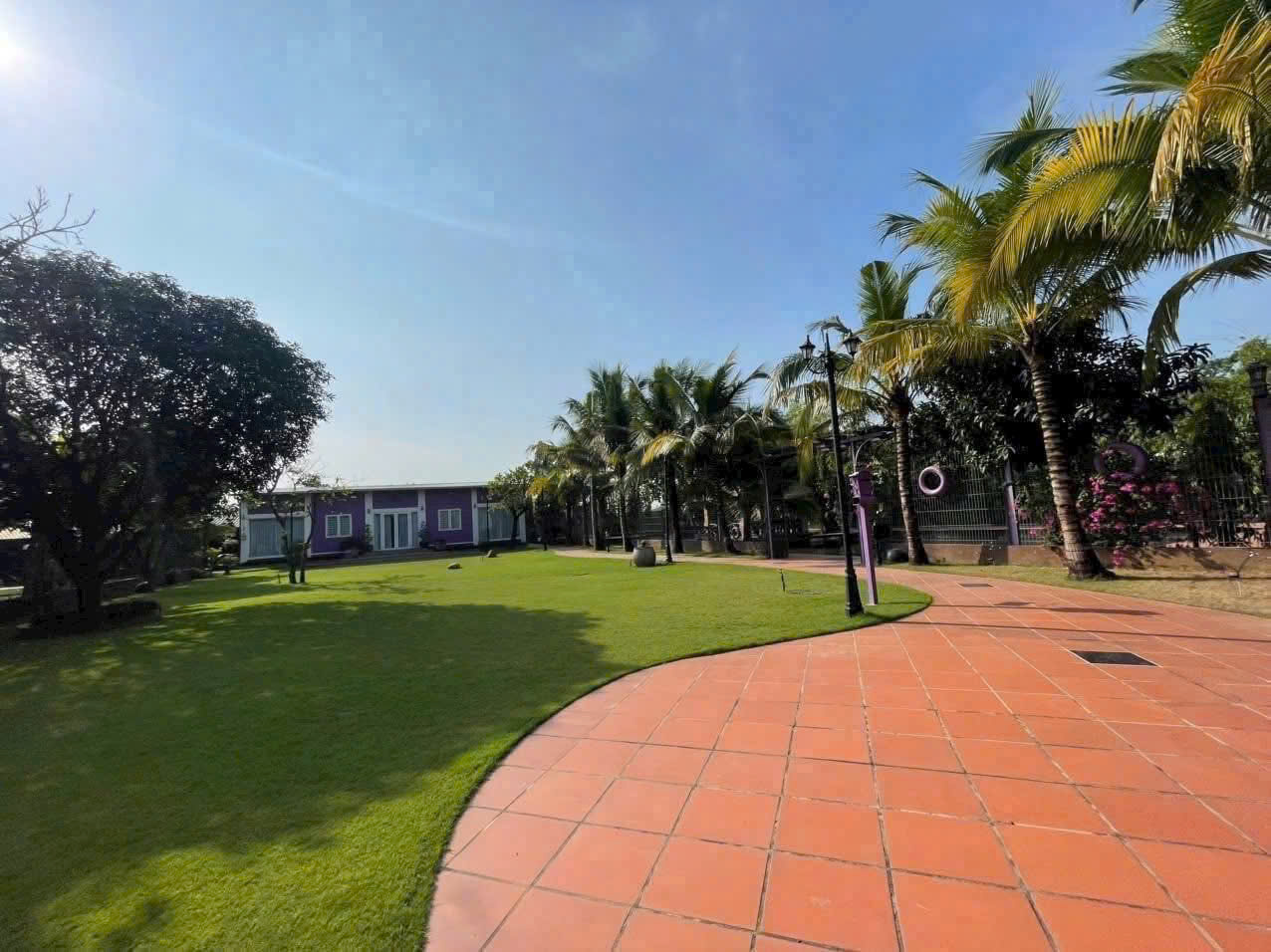 BÁN NHÀ VƯỜN 3000m² (4 SỔ) – BÌNH MỸ, CỦ CHI – GẦN CẦU RẠCH TRA - Ảnh 3