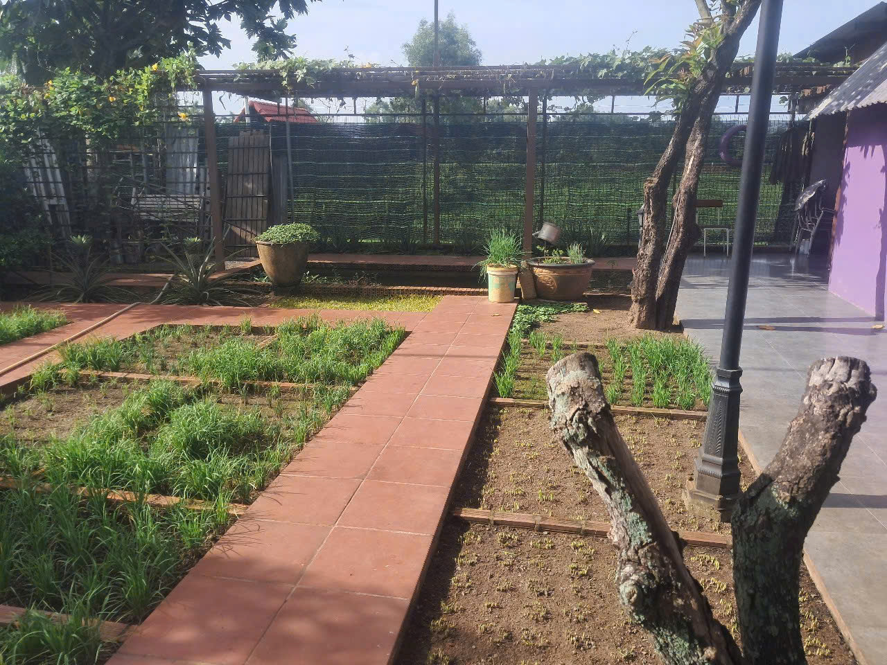 BÁN NHÀ VƯỜN 3000m² (4 SỔ) – BÌNH MỸ, CỦ CHI – GẦN CẦU RẠCH TRA - Ảnh 4