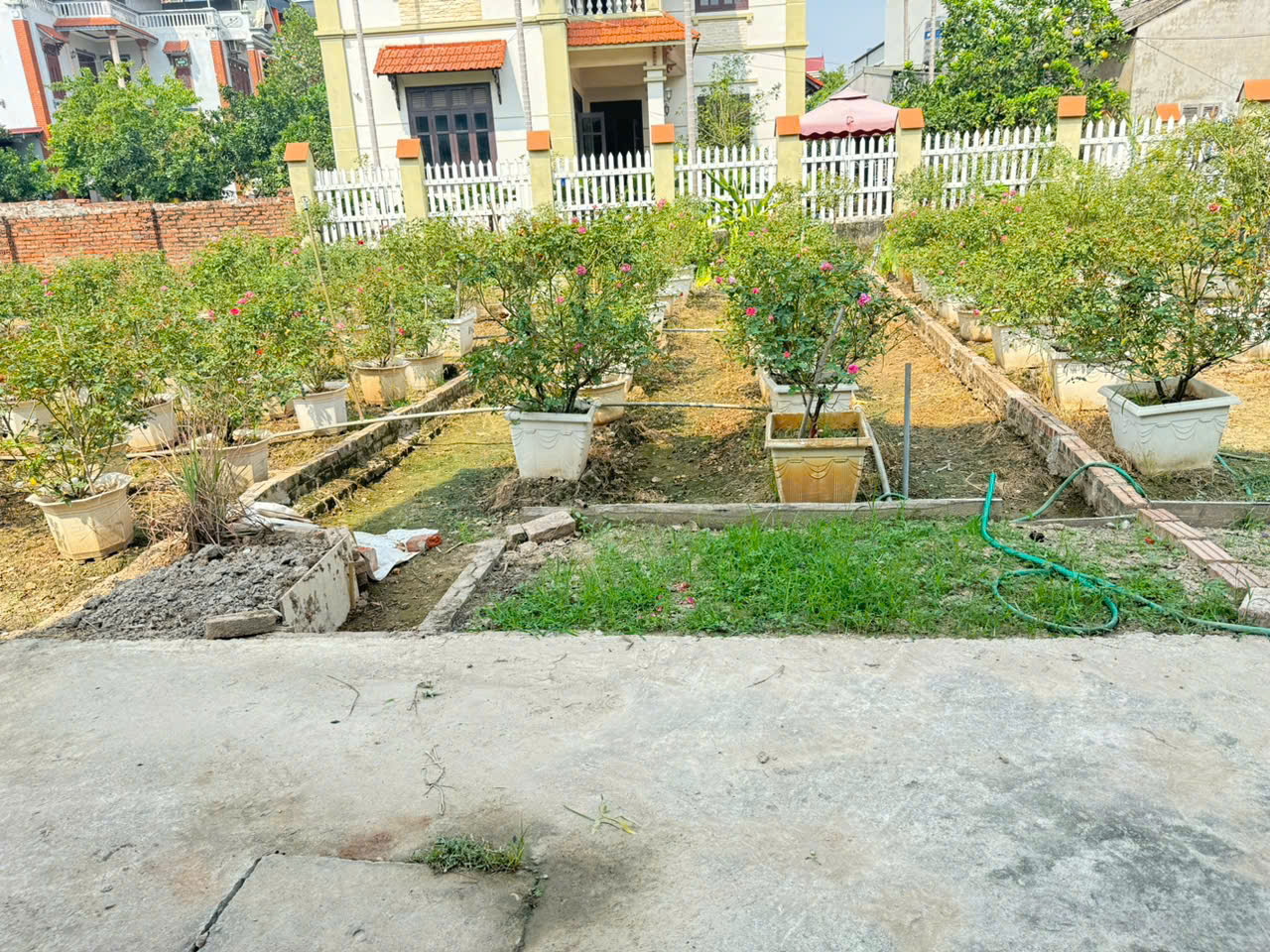 Bán đất Thôn Trung Hậu Đoài, Tiền Phong, Mê Linh - Sổ đỏ chính chủ, vị trí đắc địa - Ảnh chính