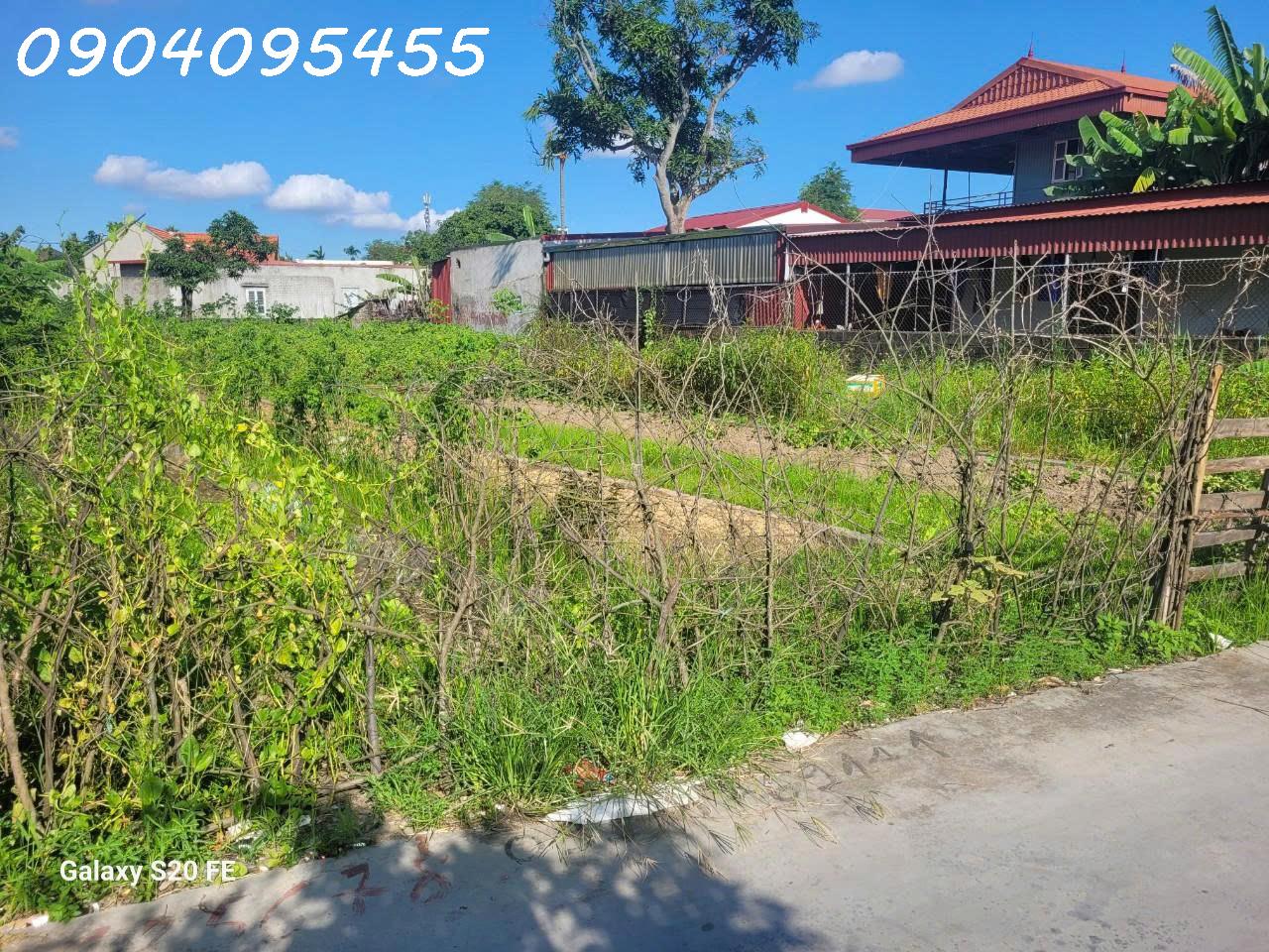 Chính chủ cần bán 67,2m2 đất tại xã Hồng Phong, Huyện An Dương, HP, giá 2,1 tỷ. - Ảnh chính