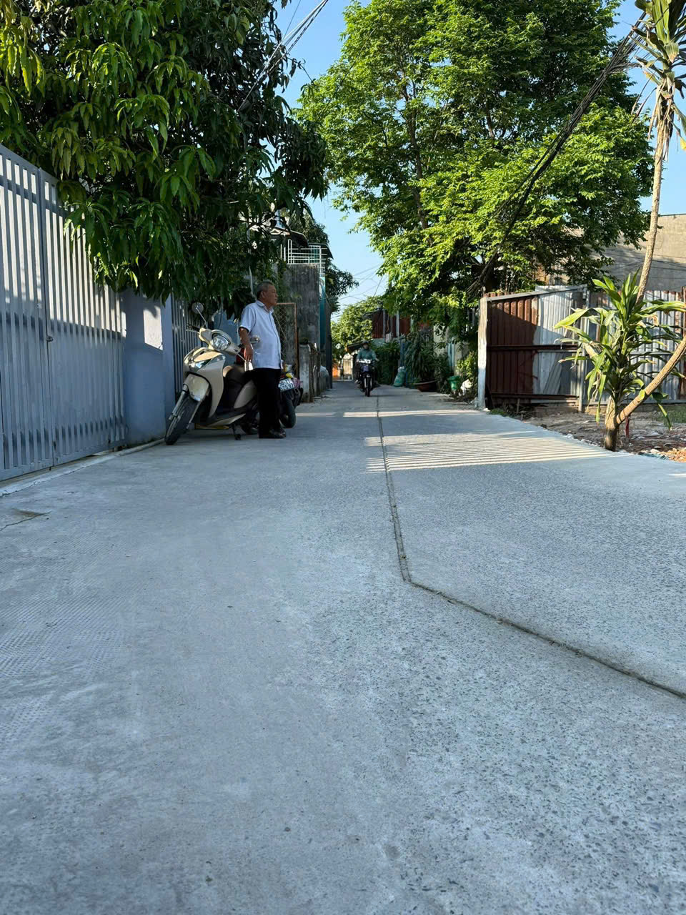 ĐẤ HÀNG HIẾM – THỚI TAM THÔN, HÓC MÔN – GẦN CHỢ, – GIÁ CHỈ TỪ 3 TỶ X - Ảnh 2