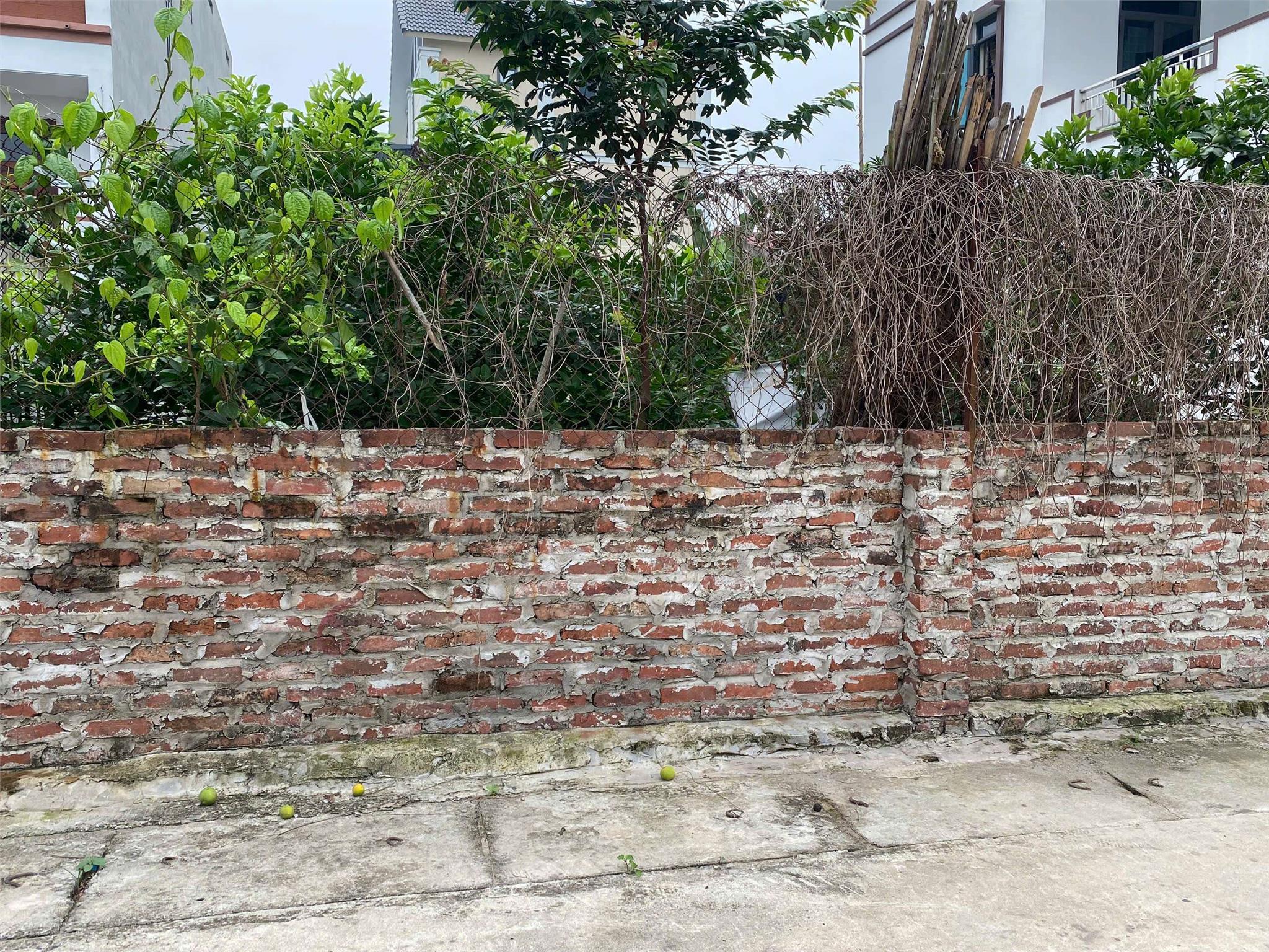 BÌA LÀNG TT QUANG MINH 58M GIÁ 3,X TỶ.ĐƯỜNG 8M Ô TÔ TRÁNH - Ảnh 3