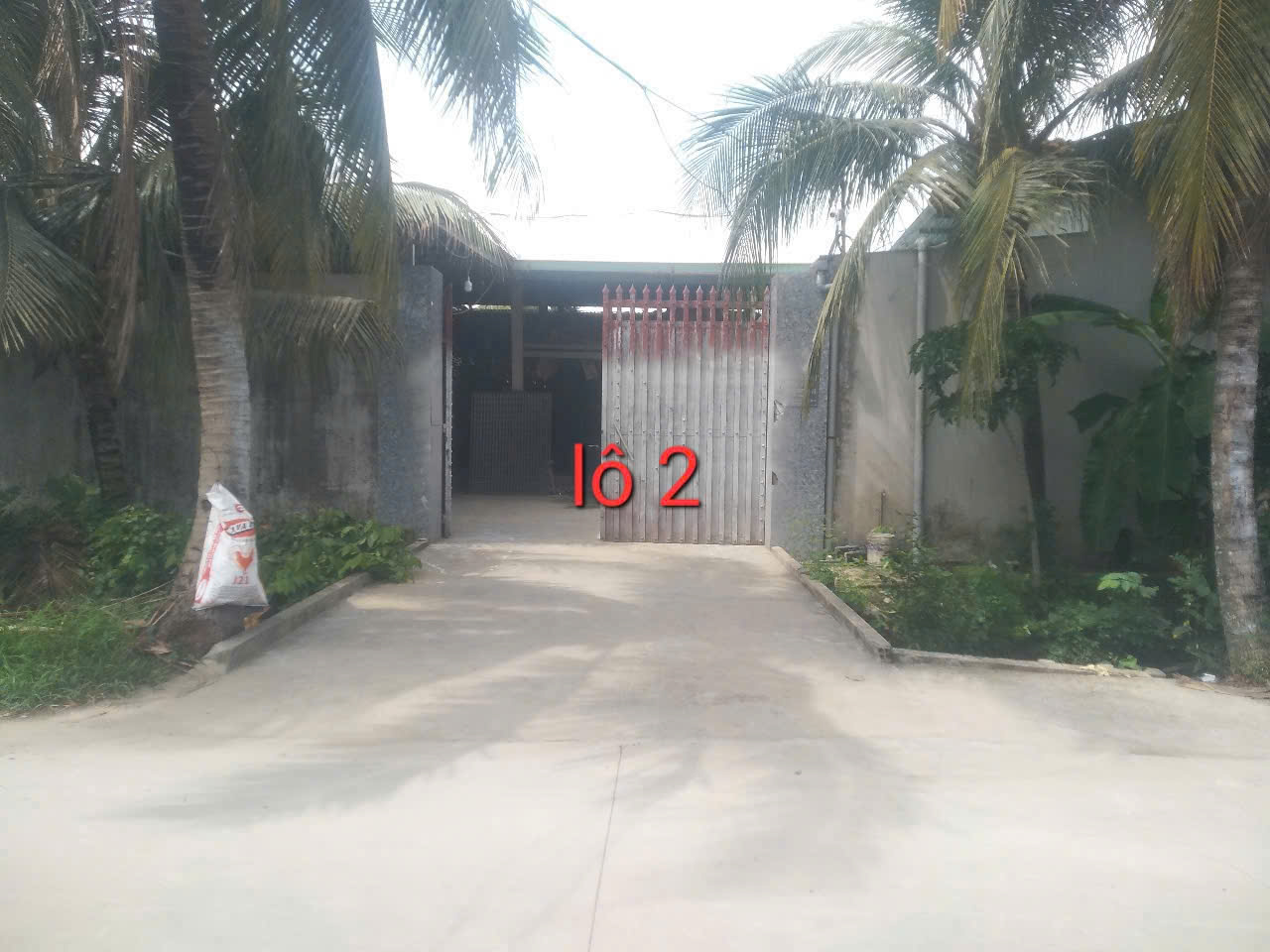 CHÍNH CHỦ CẦN BÁN GẤP 2 LÔ ĐẤT KẾ BÊN CÓ VỊ TRÍ ĐẸP TẠI XÃ TRUNG HÒA -H. CHỢ GẠO - TIỀN GIANG. - Ảnh 3