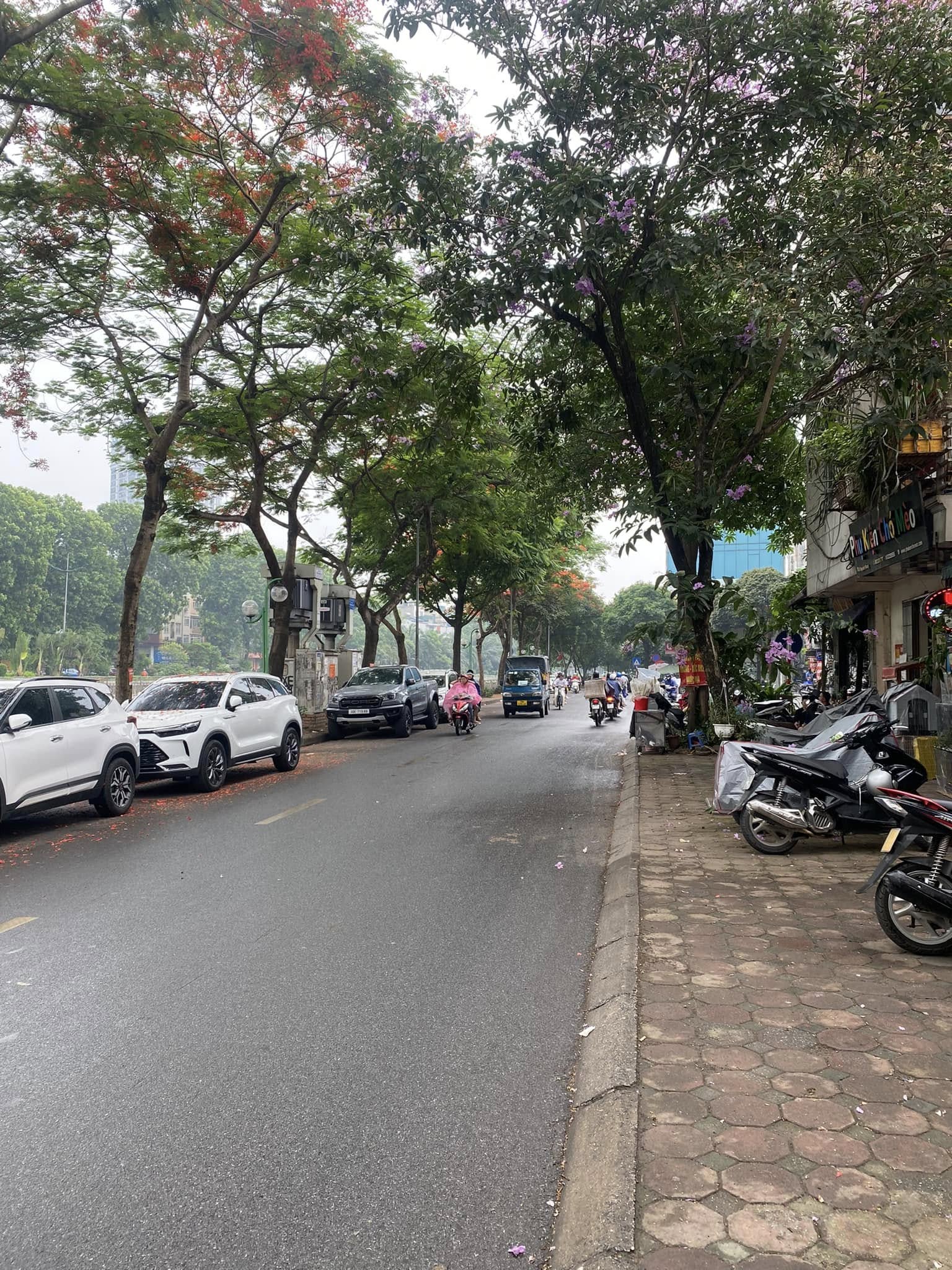 BÁN NHÀ PHÂN LÔ KHU HOÀNG CẦU, ĐỐNG ĐA, Ô TÔ VÀO NHÀ, TRƯỚC NHÀ Ô TÔ TRÁNH, KD TỐT, Ở SƯỚNG - Ảnh 1