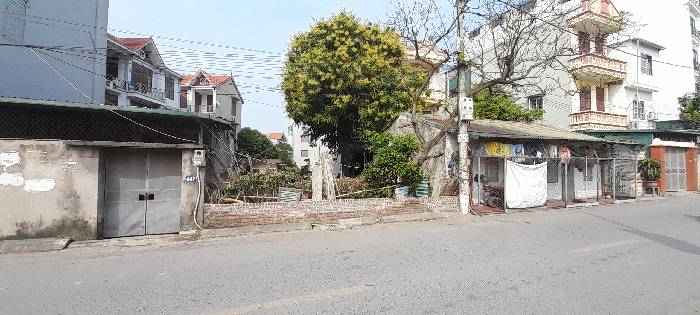 MẶT PHỐ BÁT KHỐI 33 tỷ 250m MẶT TIỀN 8m,LONG BIÊN HÀ NỘI - Ảnh 2