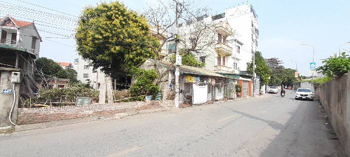 MẶT PHỐ BÁT KHỐI 33 tỷ 250m MẶT TIỀN 8m,LONG BIÊN HÀ NỘI - Ảnh 3