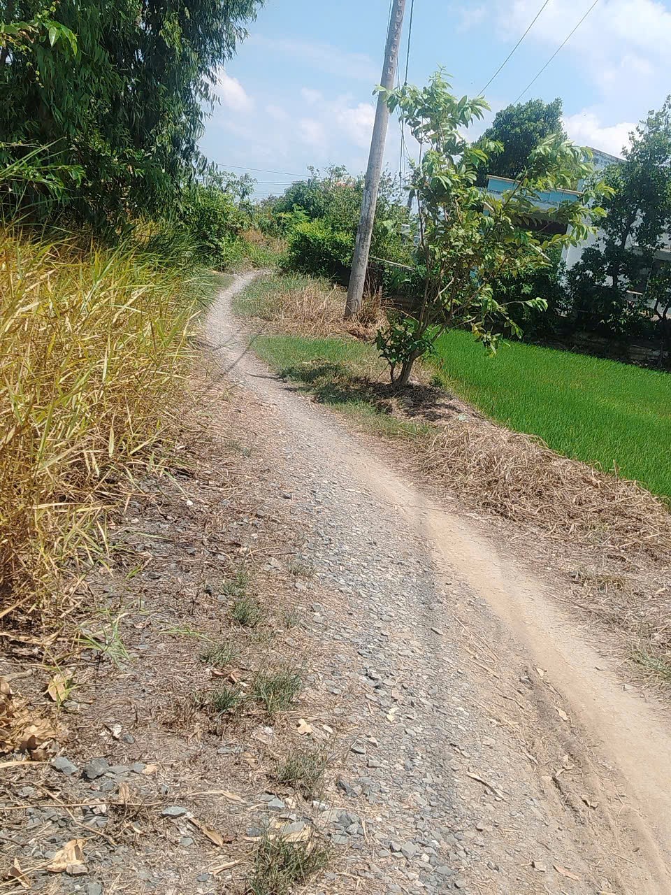ĐẤT CHÍNH CHỦ - GIÁ TỐT - Cần Bán Đất Xã Phước Trung, Gò Công Đông Tiền Giang - Ảnh 2