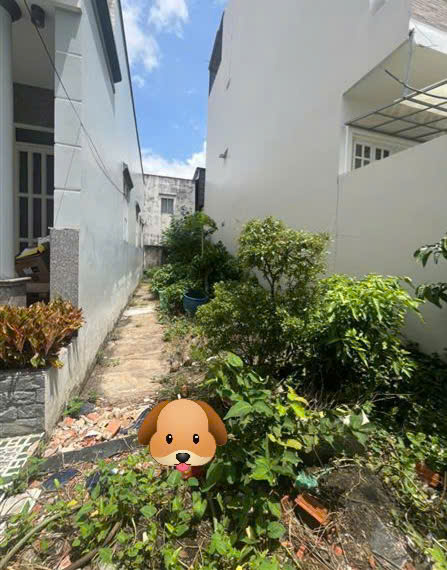 BÁN ĐẤT MẶT TIỀN HẺM KINH DOANH HUỲNH TẤN PHÁT – QUẬN 7, GỌI NGAY: 0938827657 MS TUYỀN - Ảnh 3