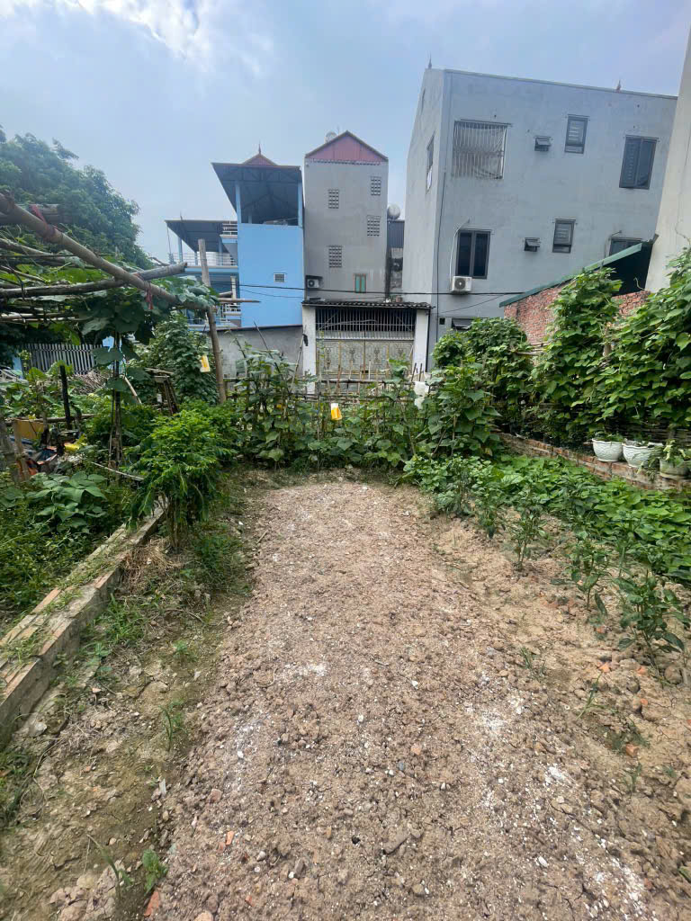 MẢNH ĐẤT ĐẸP 100M2 TẠI QL3- ĐÔNG ANH – HÀ NỘI- MUA MỘT TẶNG 3 - Ảnh 2