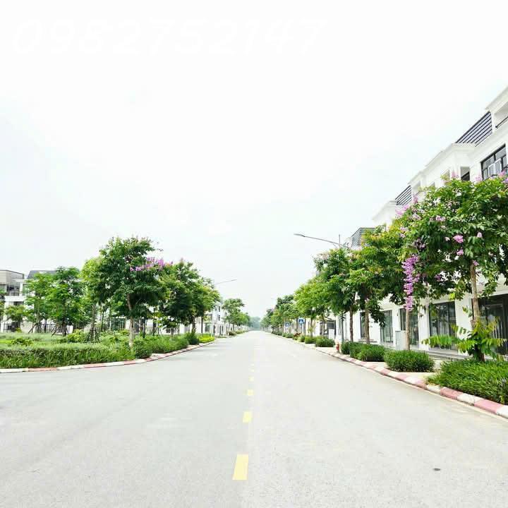 KHU ĐÔ THỊ HUD MÊ LINH CENTRA BẢNG HÀNG BIỆT THỰ VÀ LIỀN KỀ - Ảnh 3