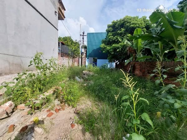 Đất Bắc Hồng 125m2, mt6m, 9.1 tỷ, ô tô 7 chỗ, chạy thông, gần phố, Đông Anh. - Ảnh 1
