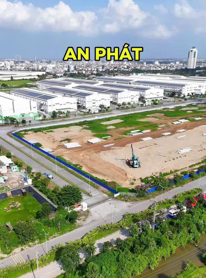 Bán đất đấu giá Tân Dân phường Việt Hòa, Hải Dương giá từ 2ty150, hot nhất hiện tại - Ảnh 2
