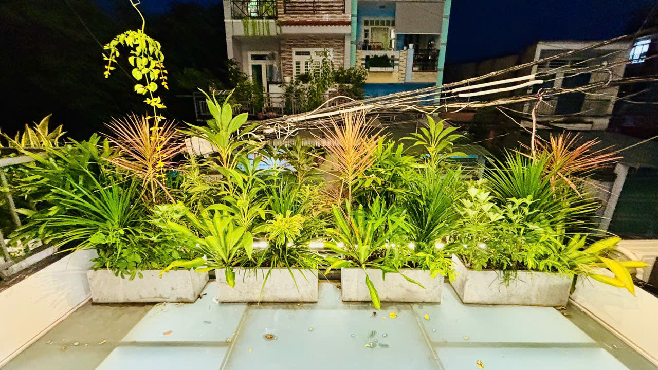 BÁN NHÀ GÒ VẤP VIEW CÔNG VIÊN GẦN CC DREAMHOME 6 TẦNG XE HƠI VÀO NHÀ 62M2 SỔ VUÔNG - Ảnh 2